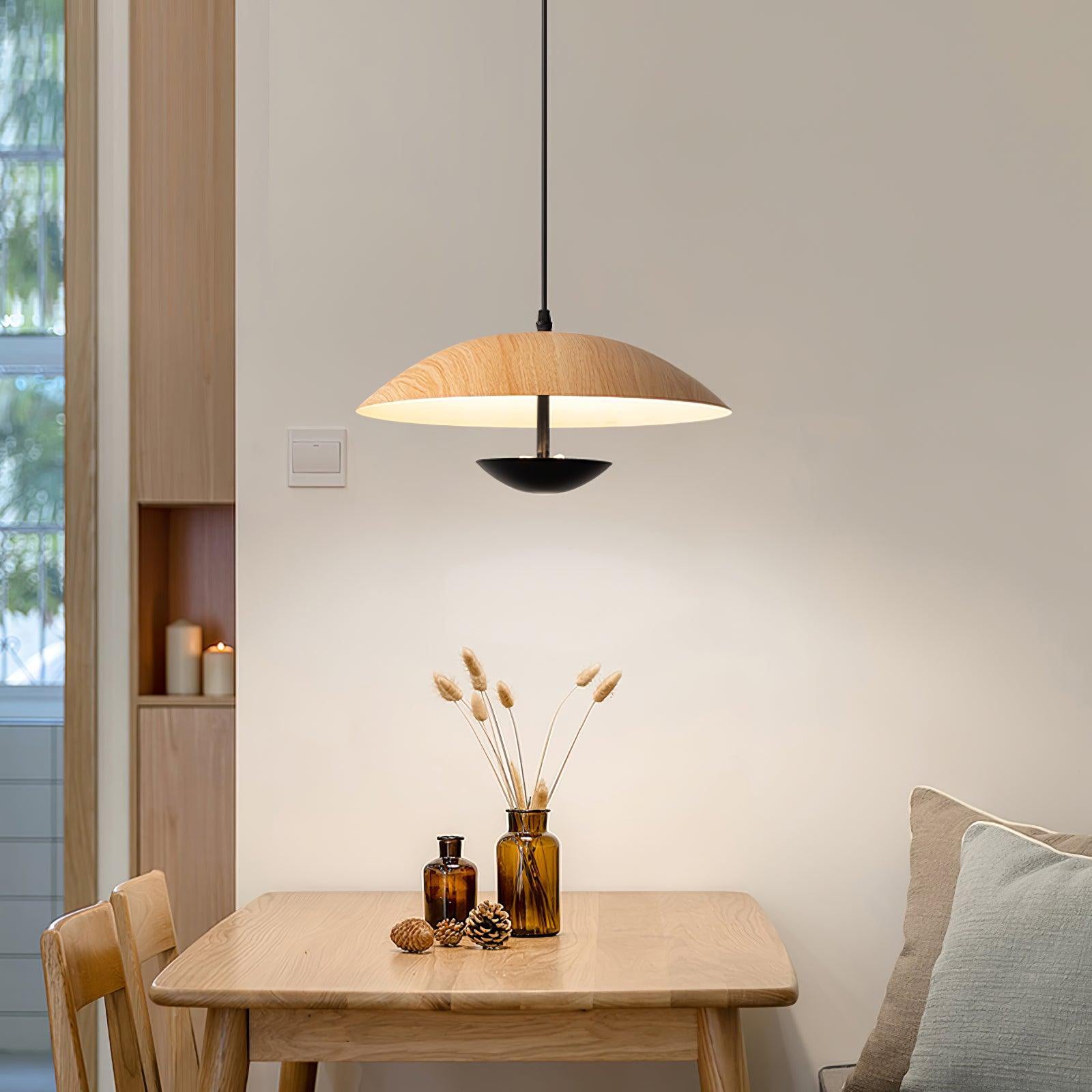 Frisbee Pendant Lamp - Blowlighting