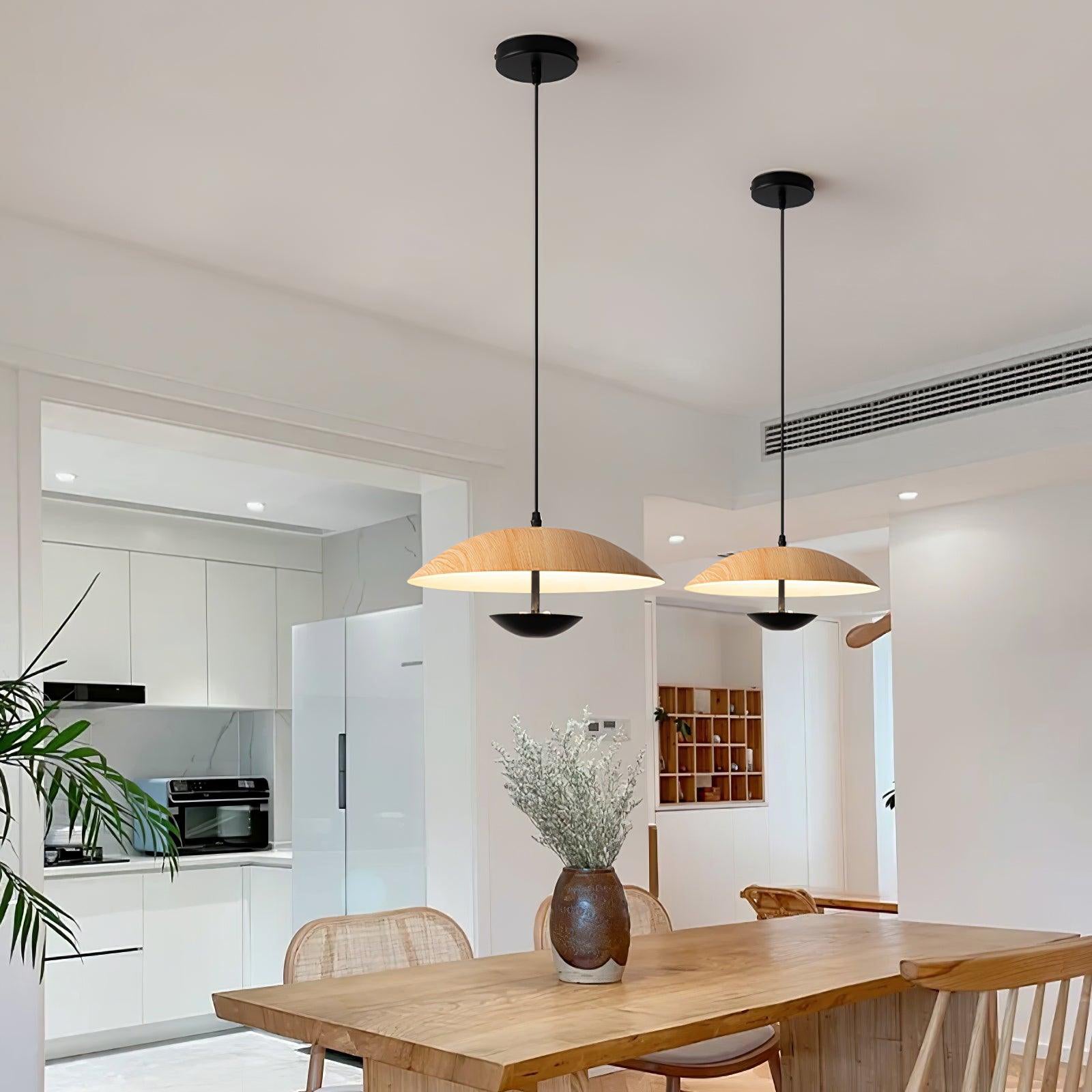 Frisbee Pendant Lamp - Blowlighting