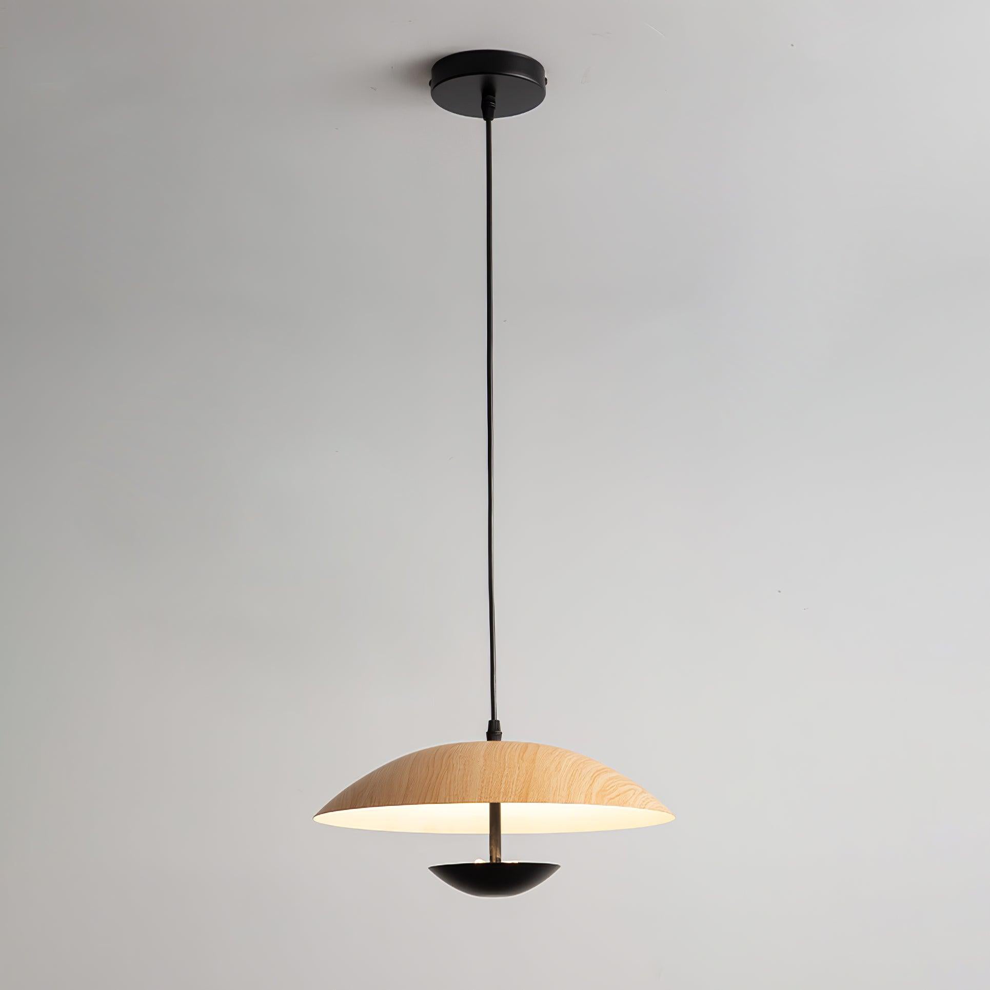 Frisbee Pendant Lamp - Blowlighting