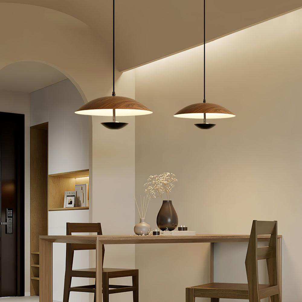 Frisbee Pendant Lamp - Blowlighting