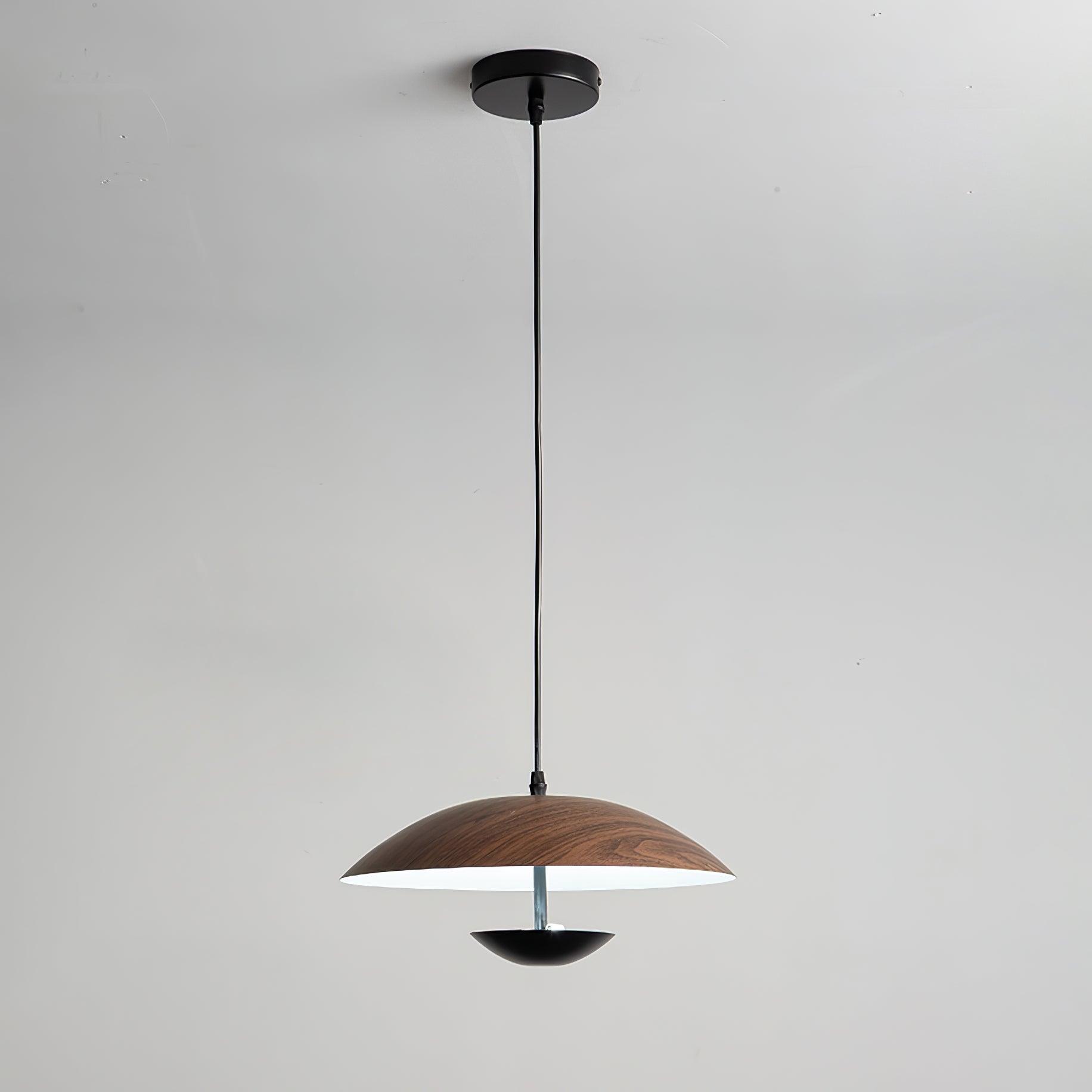 Frisbee Pendant Lamp - Blowlighting