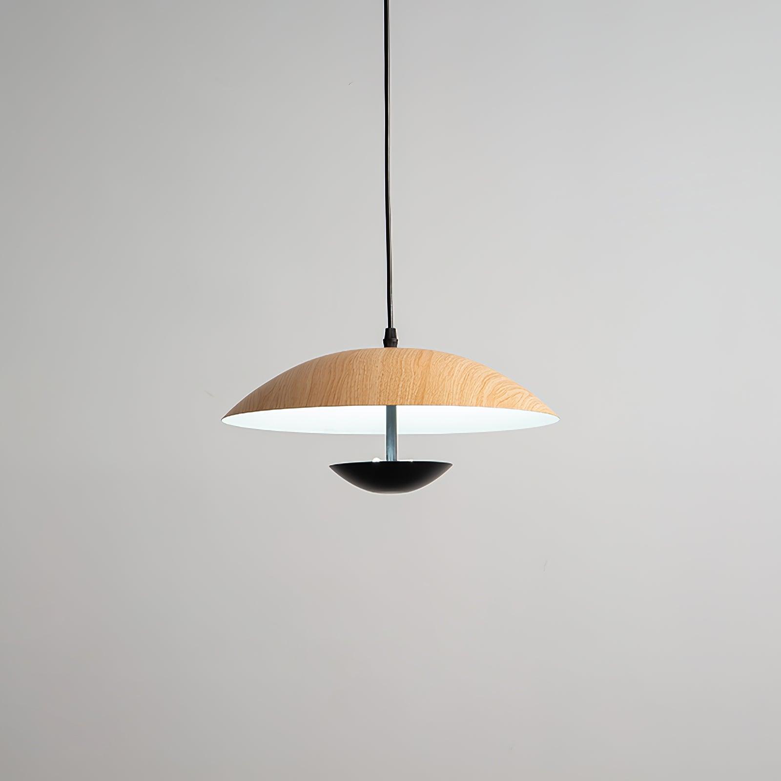 Frisbee Pendant Lamp - Blowlighting