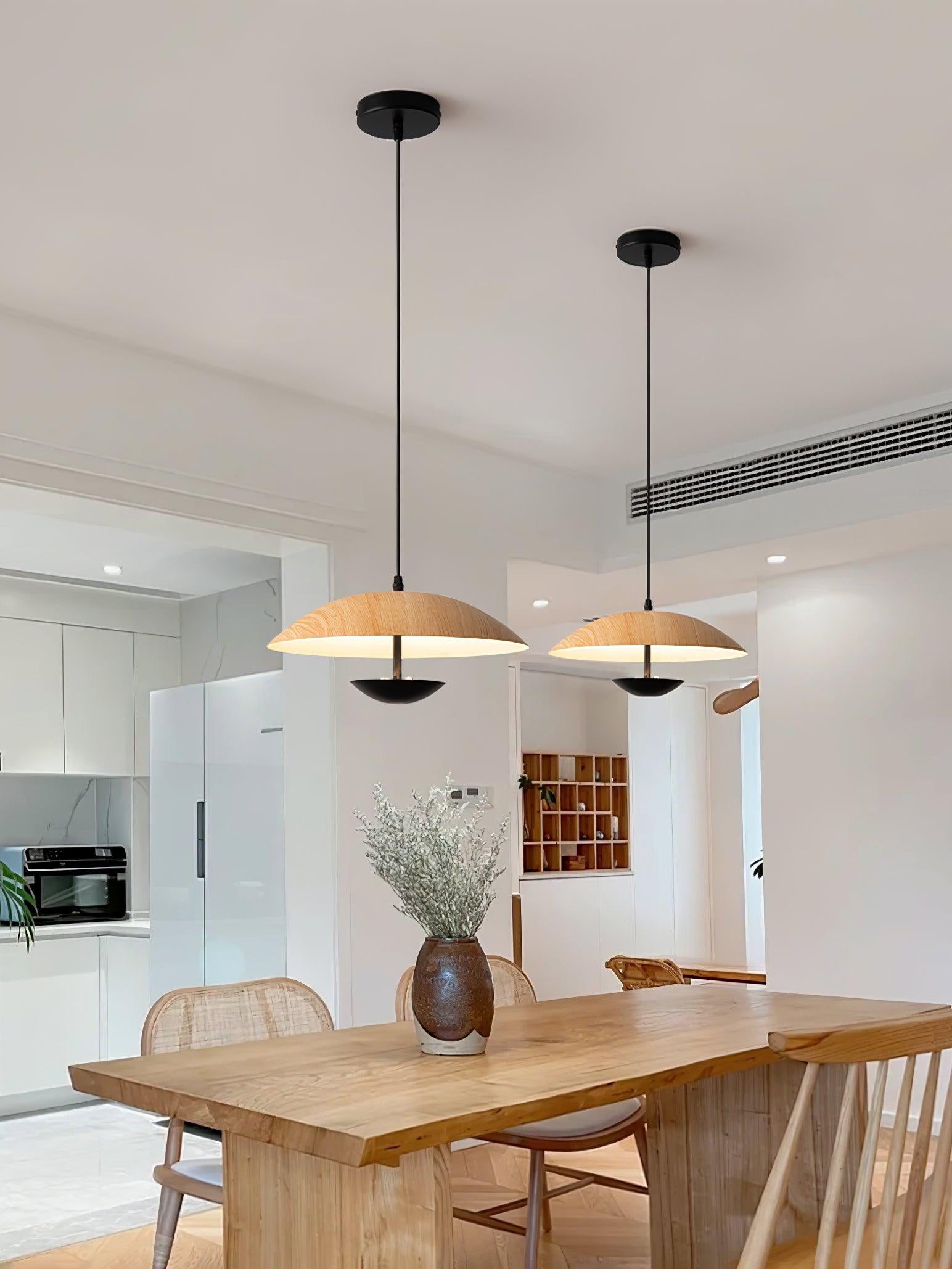 Frisbee Pendant Lamp - Blowlighting