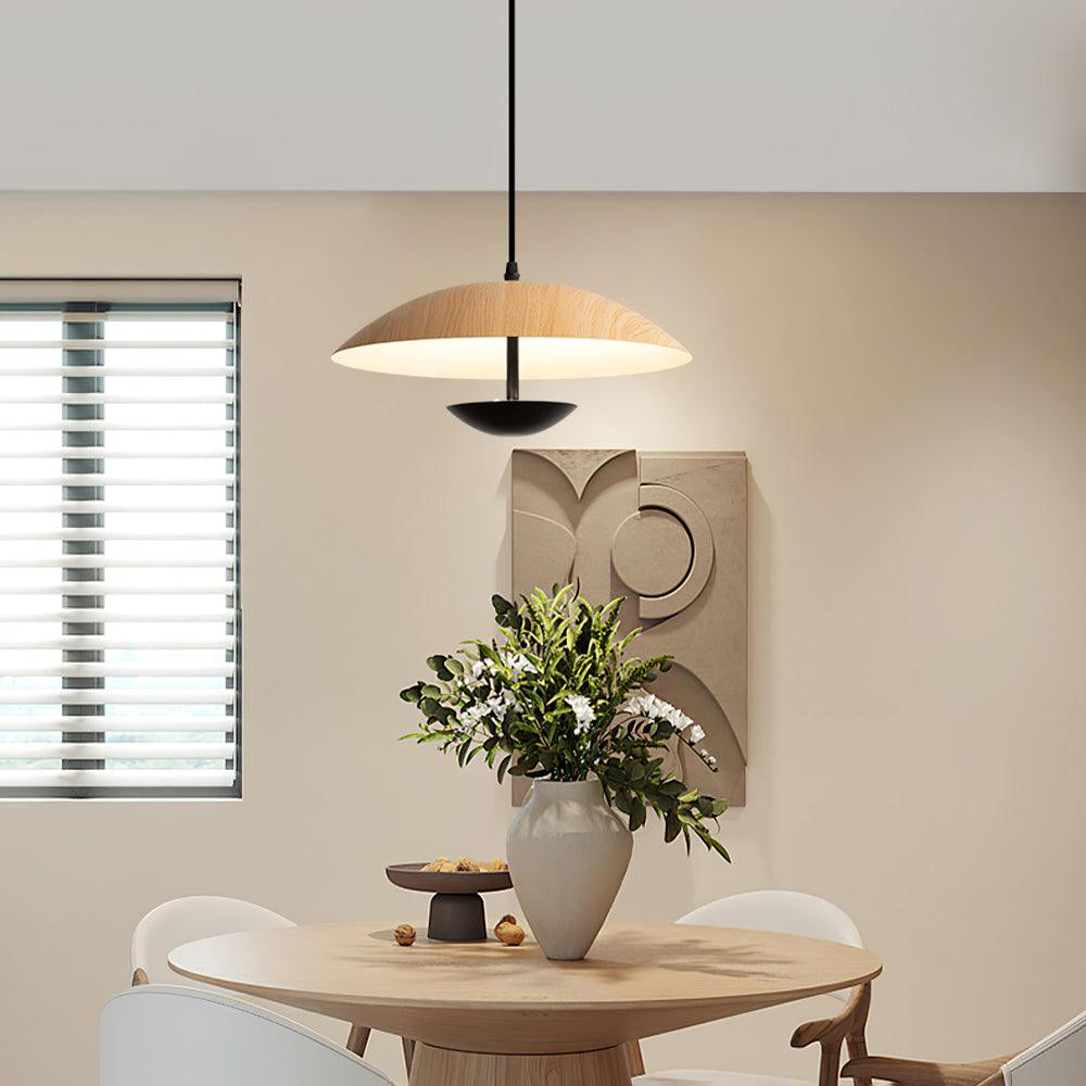Frisbee Pendant Lamp - Blowlighting