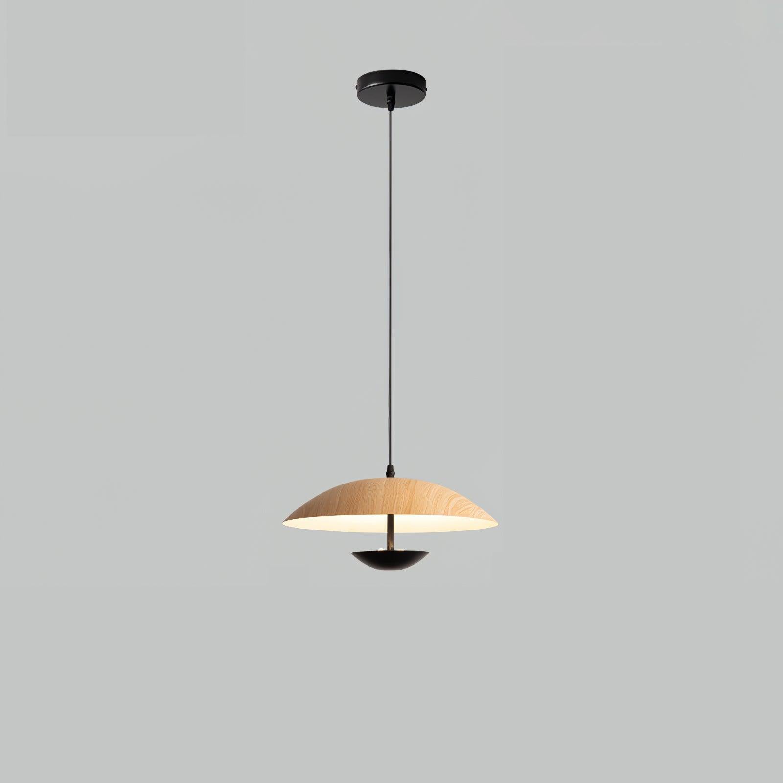 Frisbee Pendant Lamp - Blowlighting