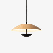 Frisbee Pendant Lamp - Blowlighting