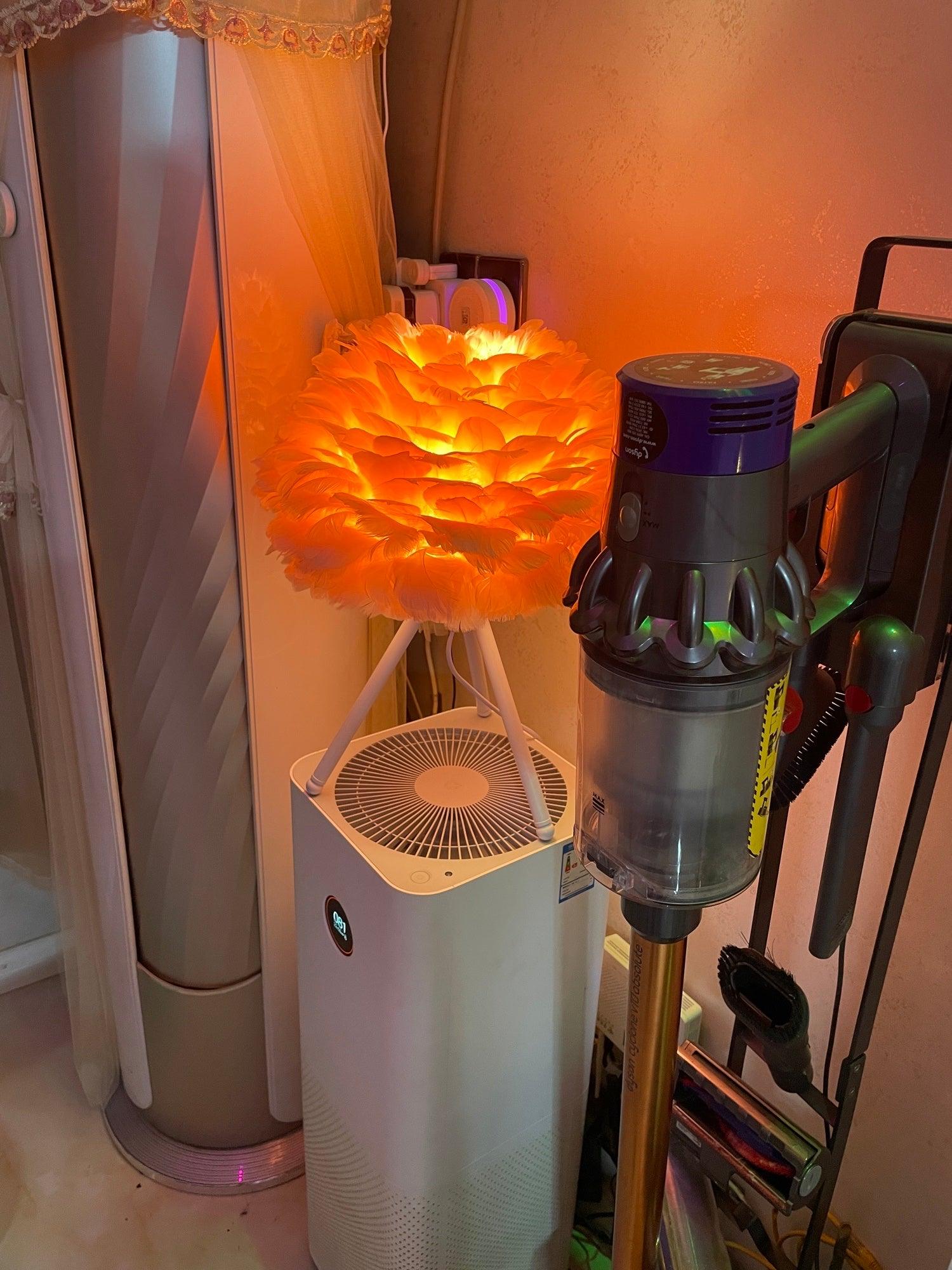 Goose Feather Table Lamp - Blowlighting