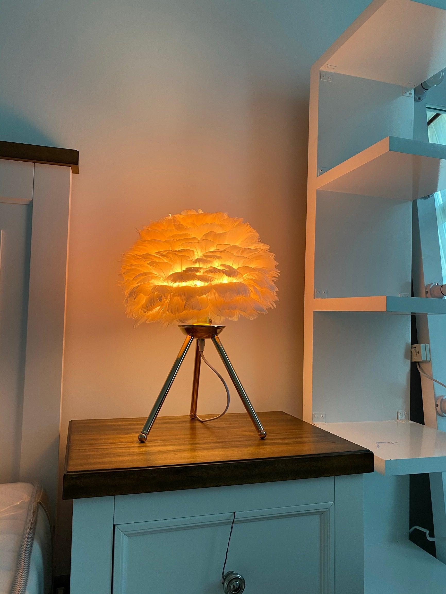 Goose Feather Table Lamp - Blowlighting