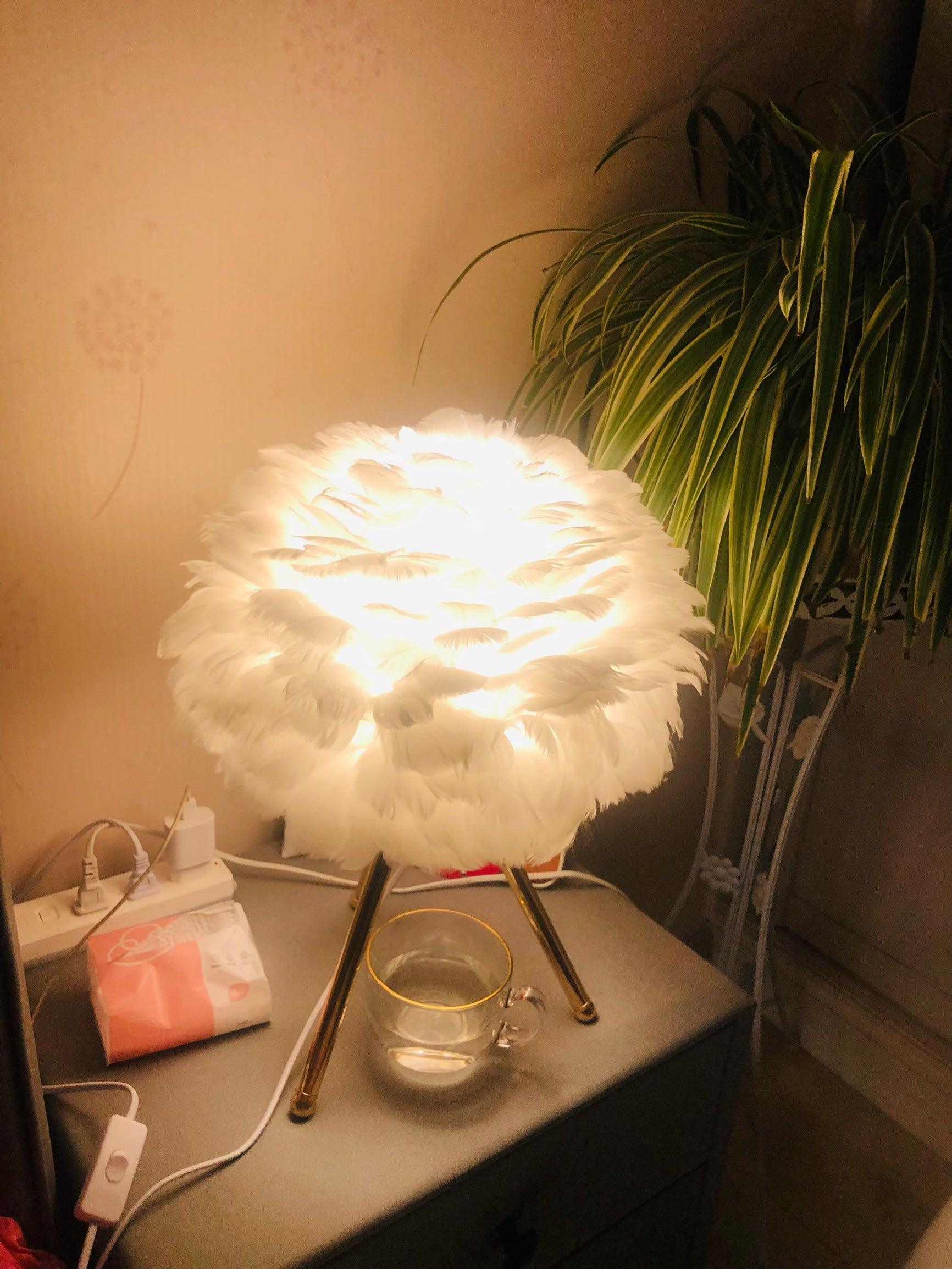 Goose Feather Table Lamp - Blowlighting