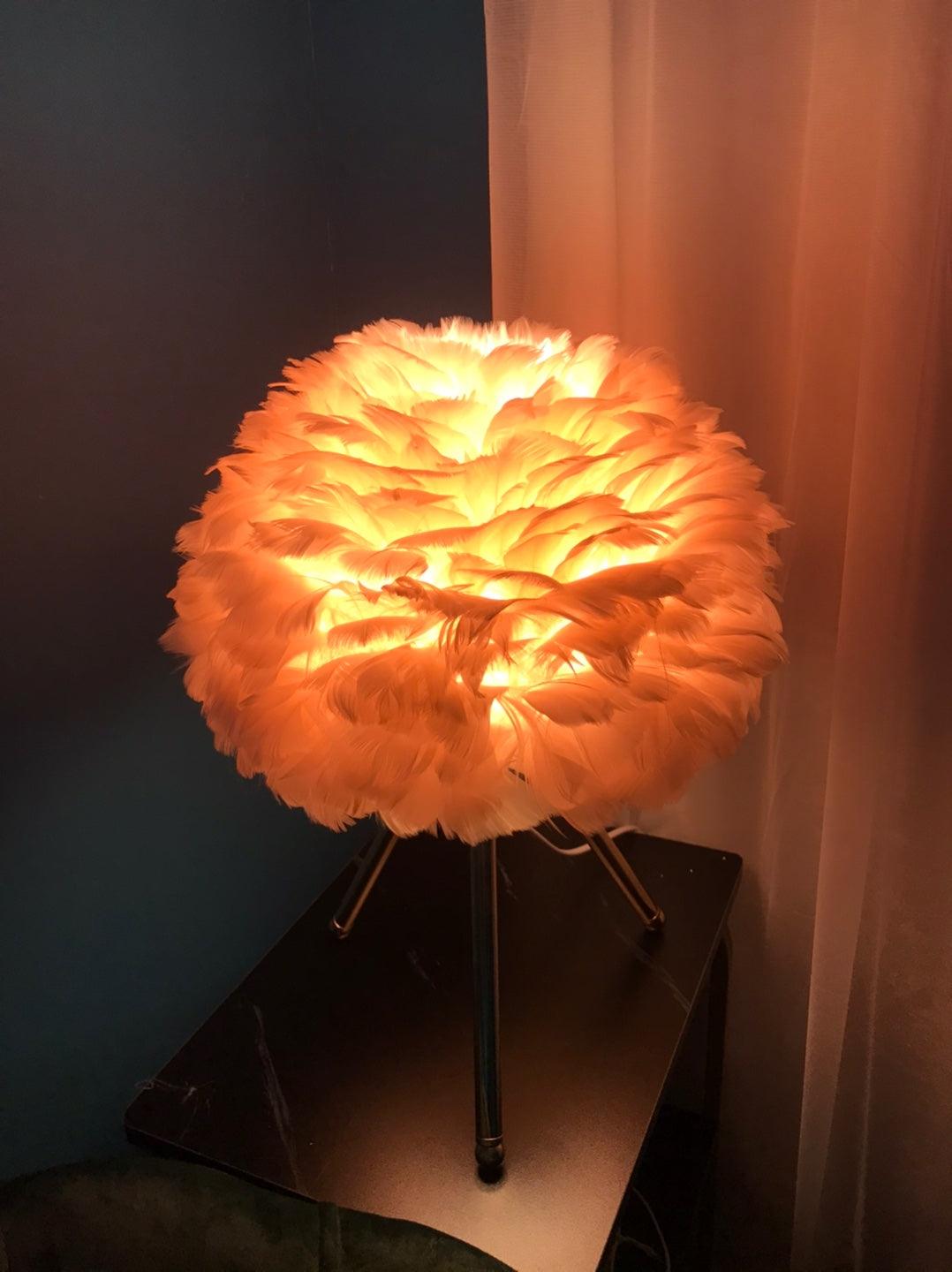 Goose Feather Table Lamp - Blowlighting