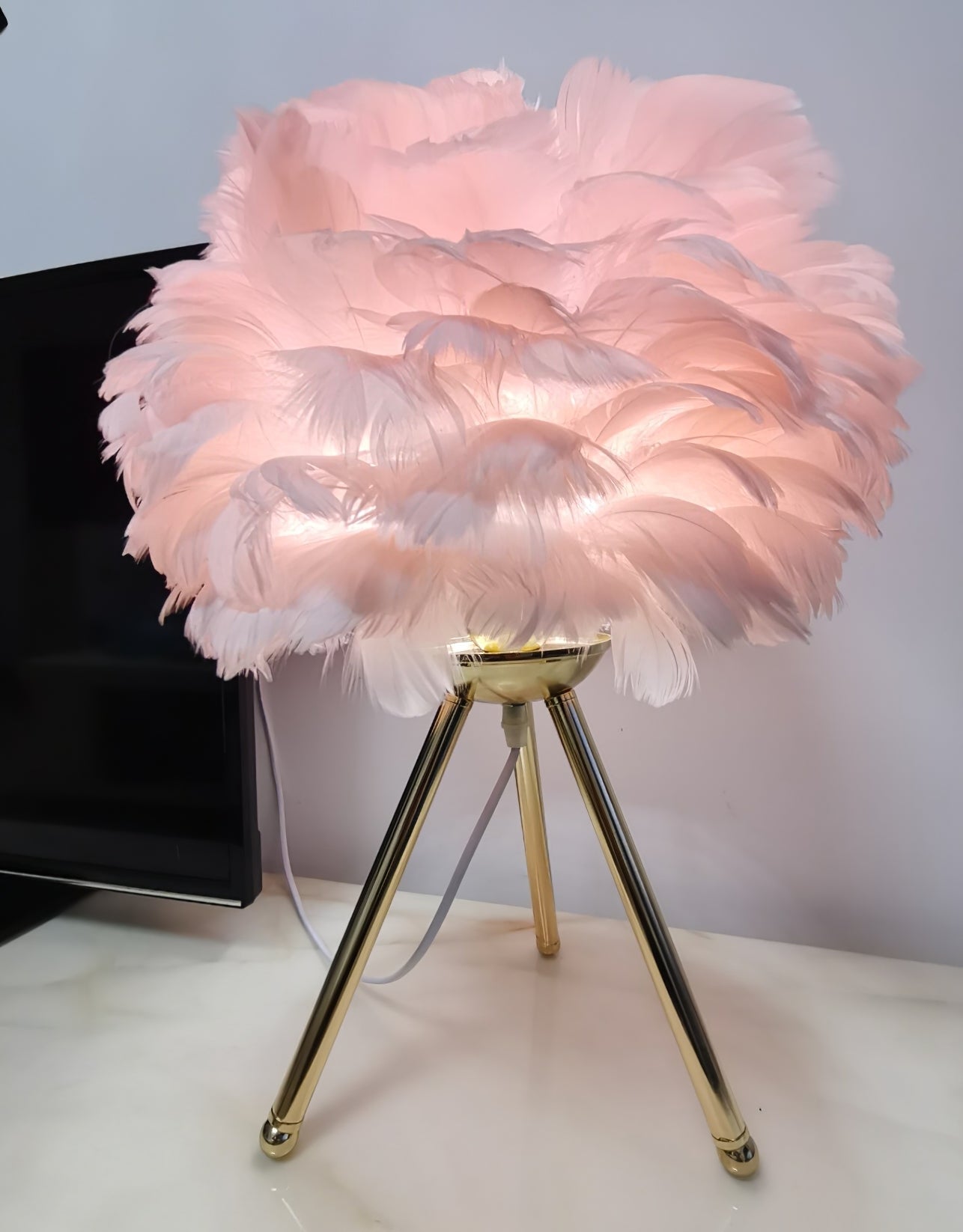Goose Feather Table Lamp - Blowlighting