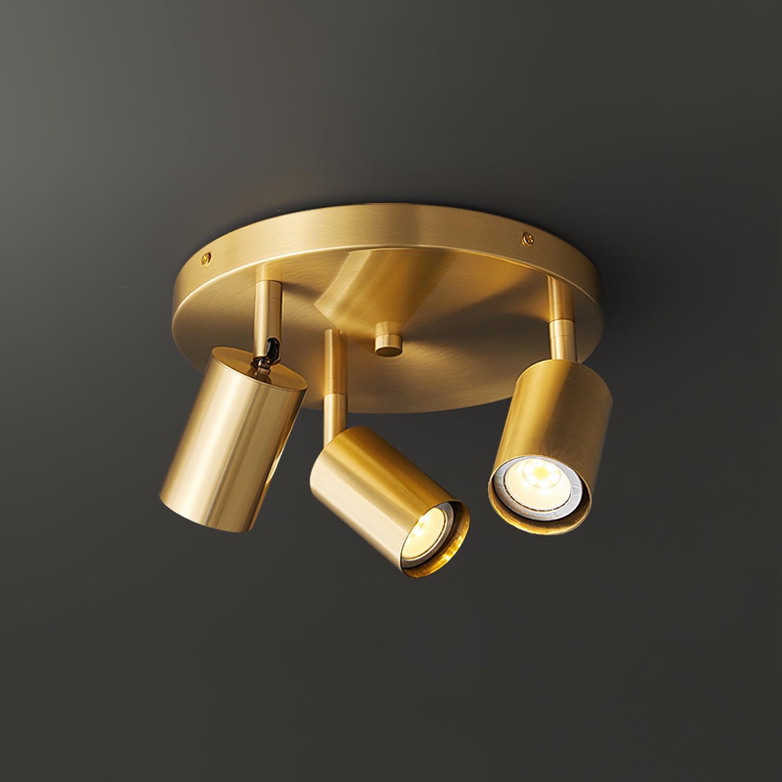 Hugo Hotspot Ceiling Light - Blowlighting