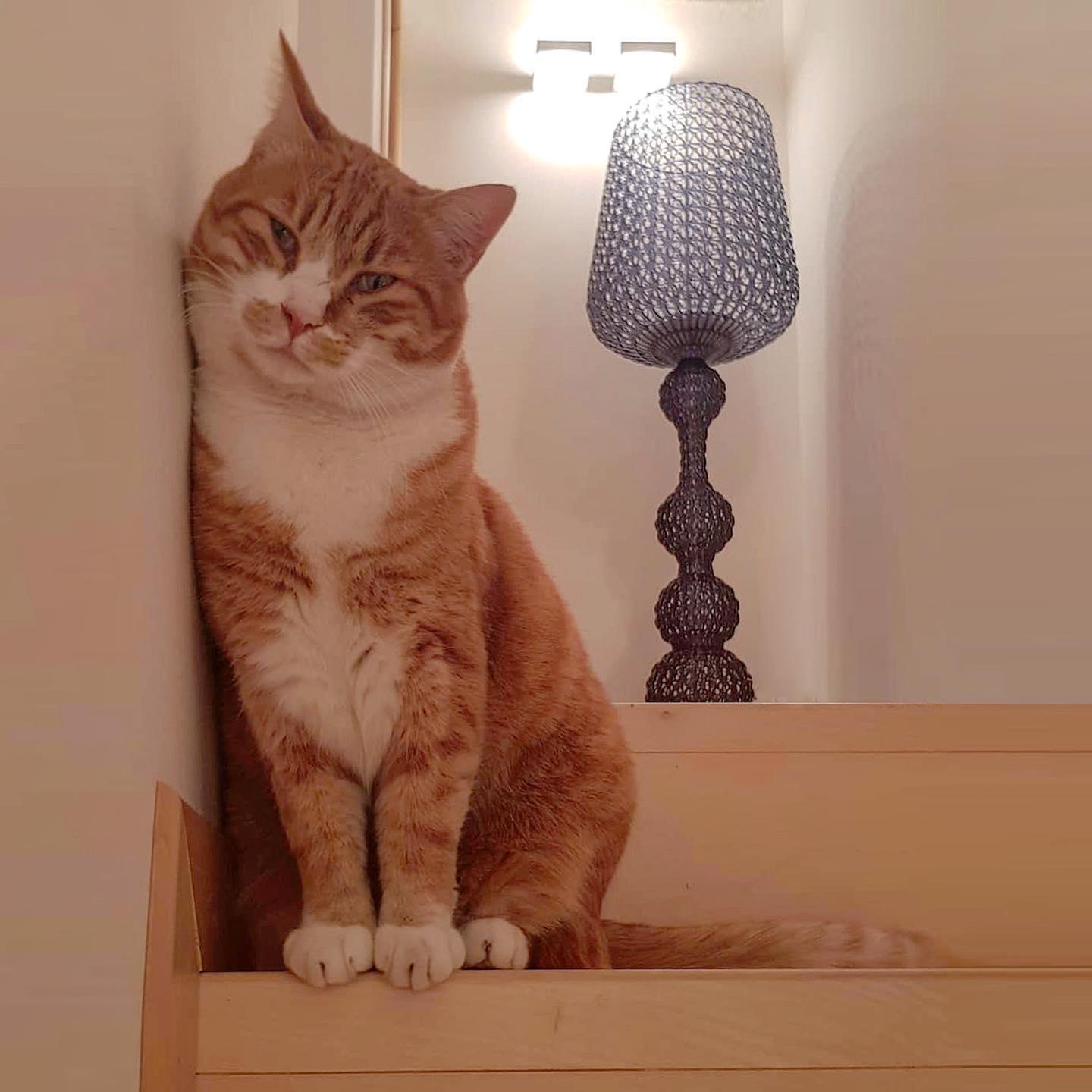 Kabuki Floor Lamp - Blowlighting