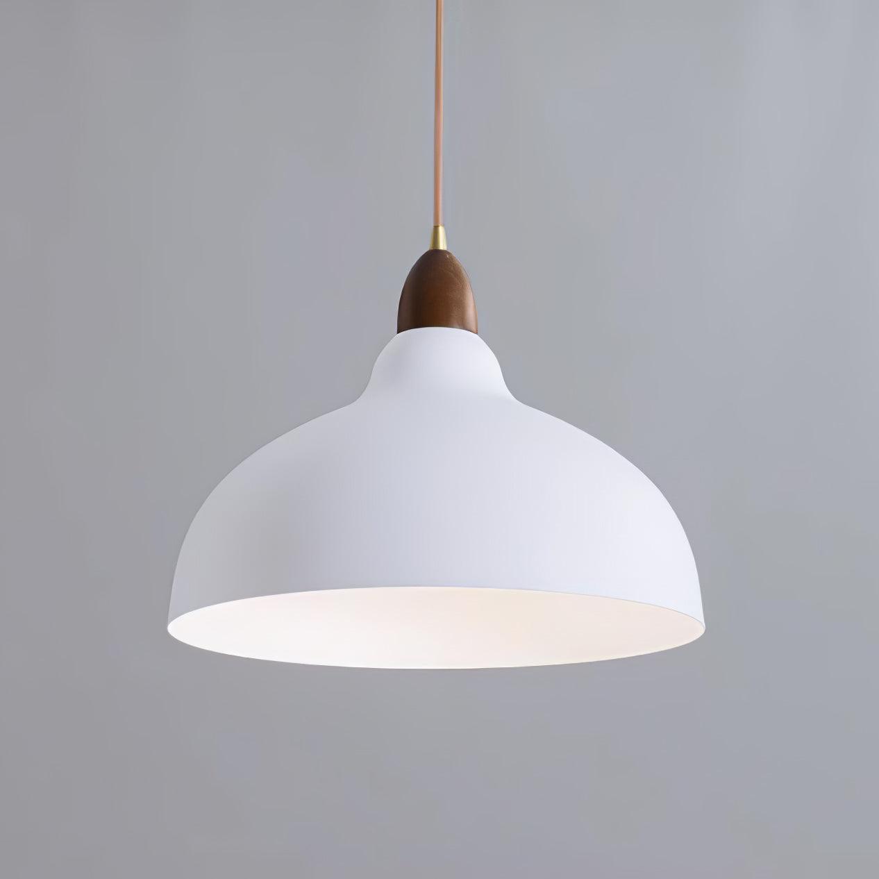 Silas Minimalist Metal Pendant Lamp - Blowlighting