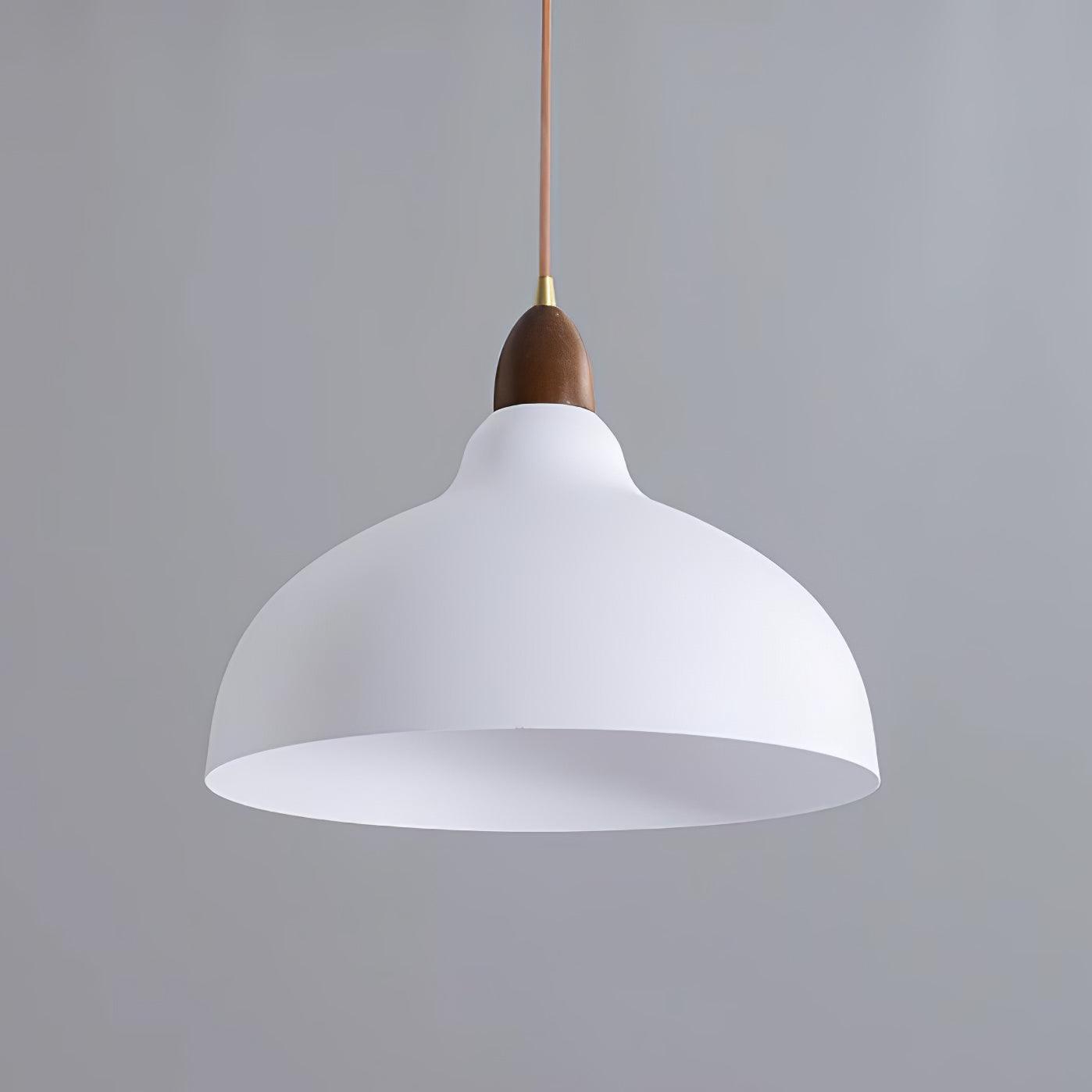 Silas Minimalist Metal Pendant Lamp - Blowlighting