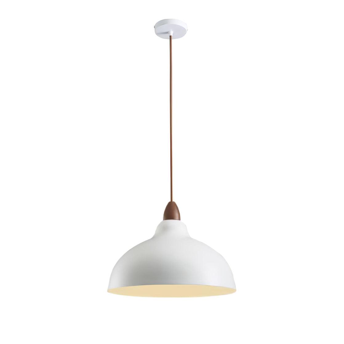 Silas Minimalist Metal Pendant Lamp - Blowlighting