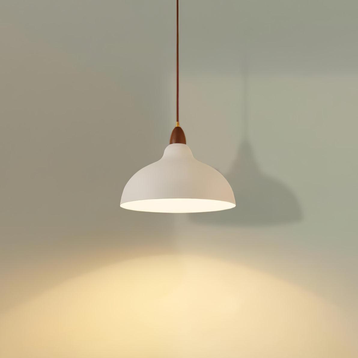 Silas Minimalist Metal Pendant Lamp - Blowlighting