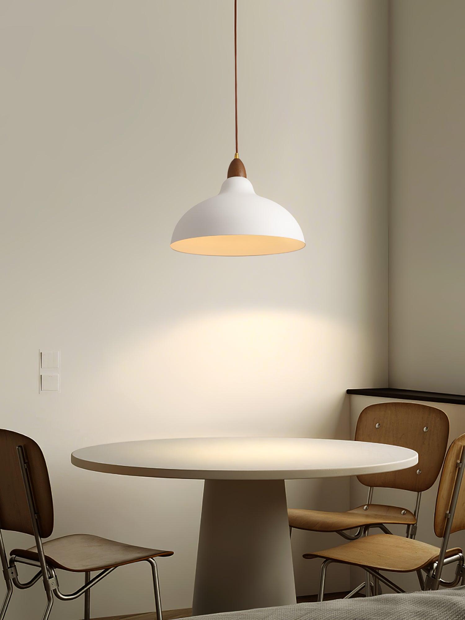 Silas Minimalist Metal Pendant Lamp - Blowlighting