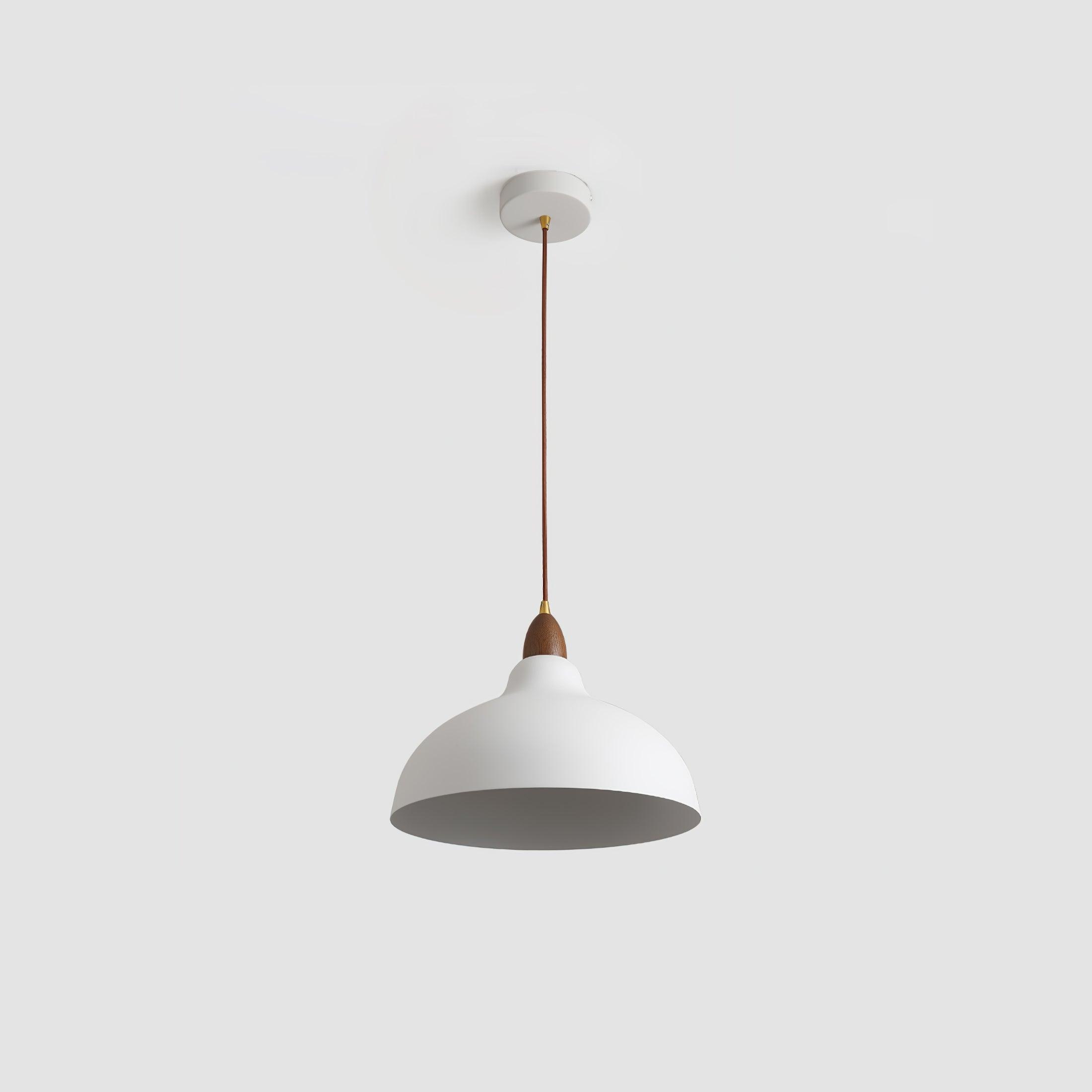 Silas Minimalist Metal Pendant Lamp - Blowlighting