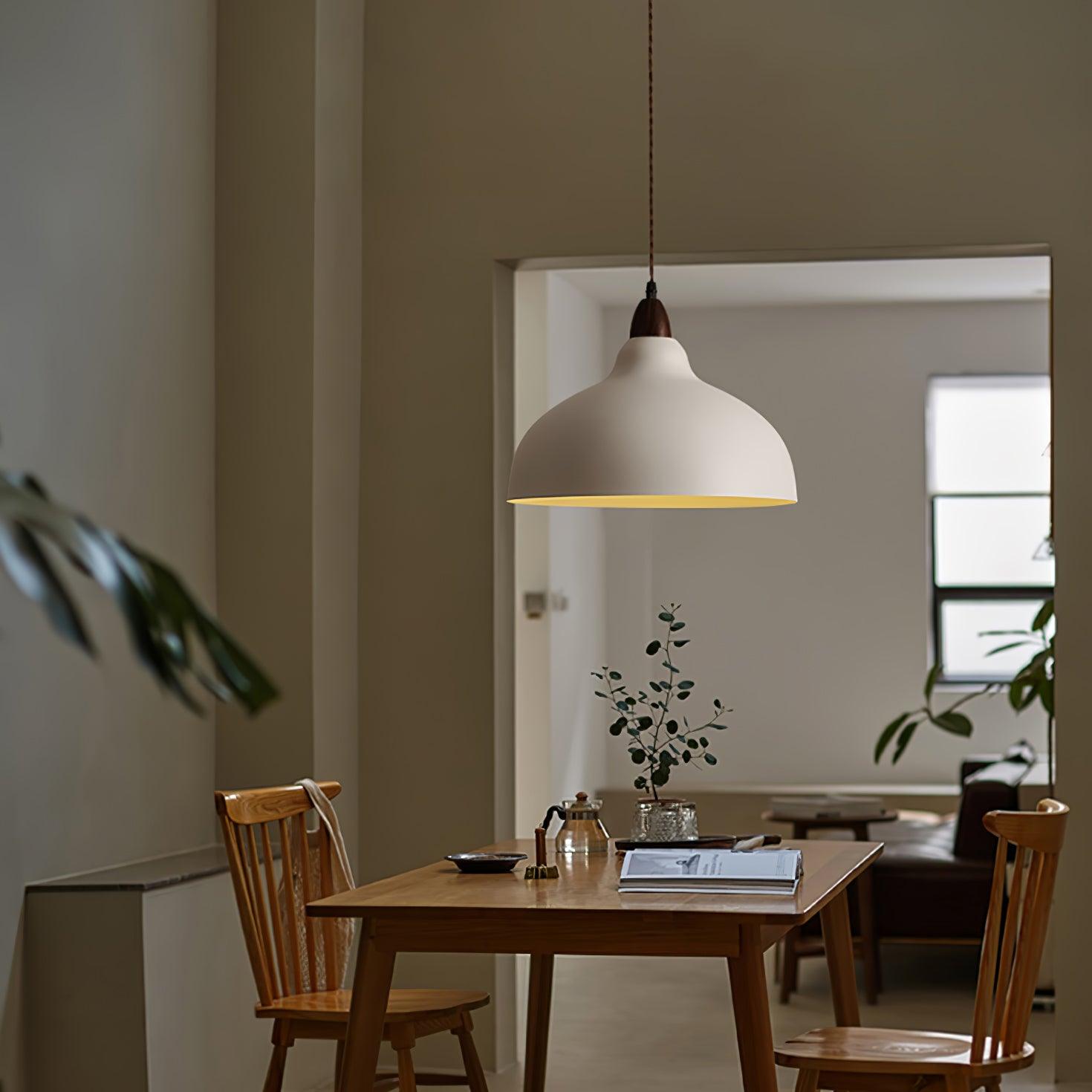Silas Minimalist Metal Pendant Lamp - Blowlighting