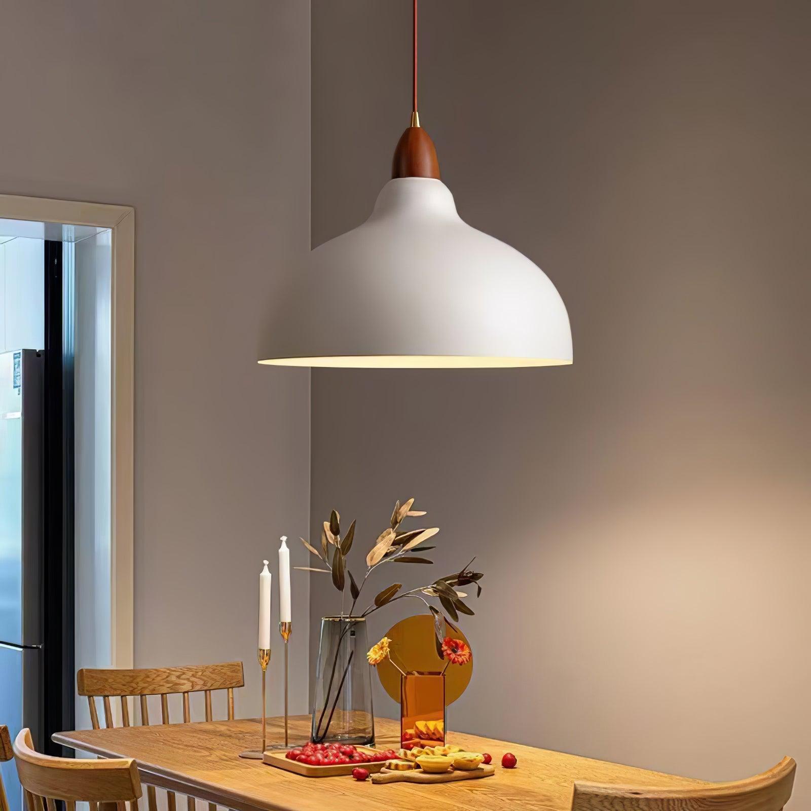 Silas Minimalist Metal Pendant Lamp - Blowlighting