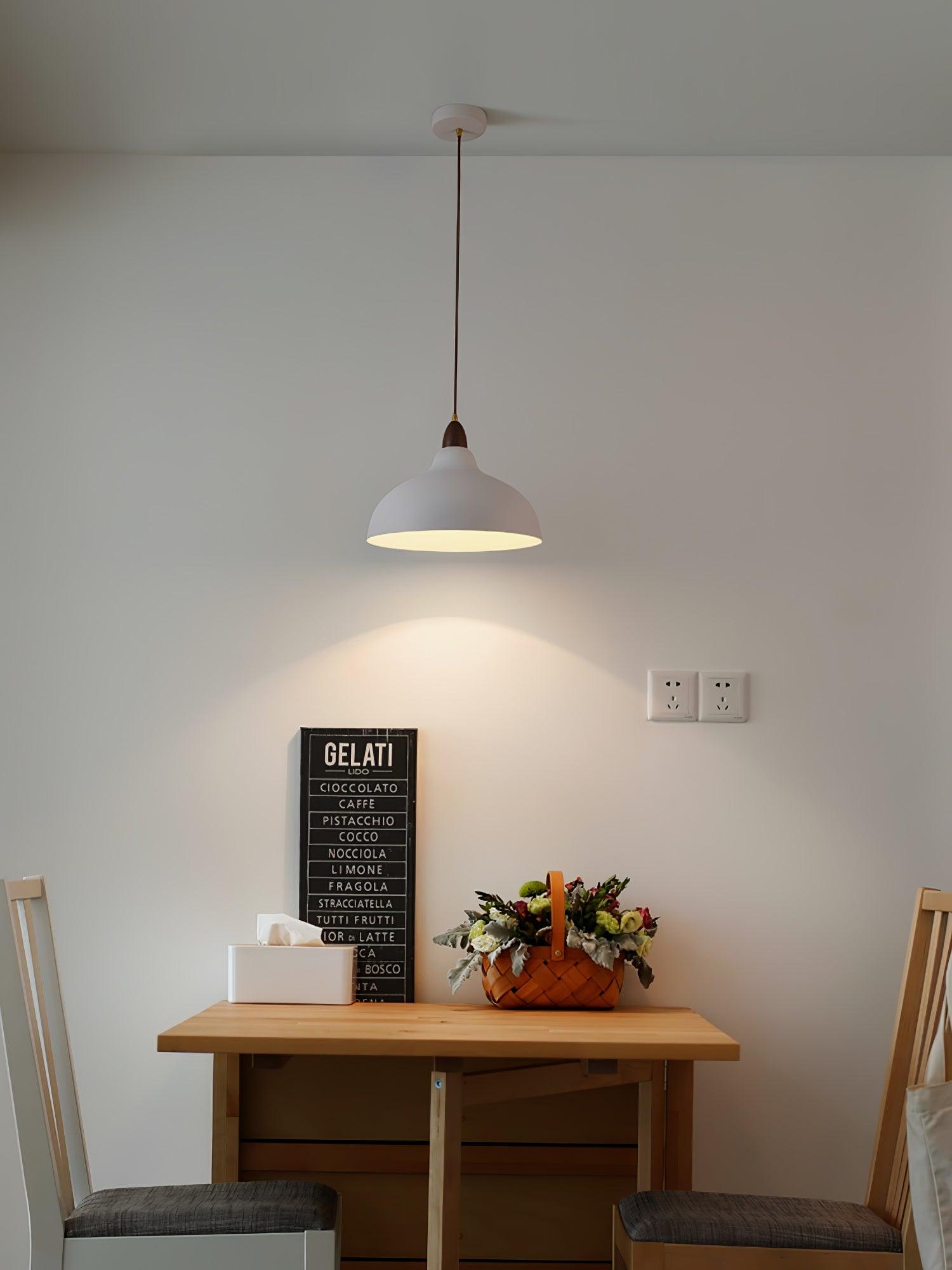 Silas Minimalist Metal Pendant Lamp - Blowlighting