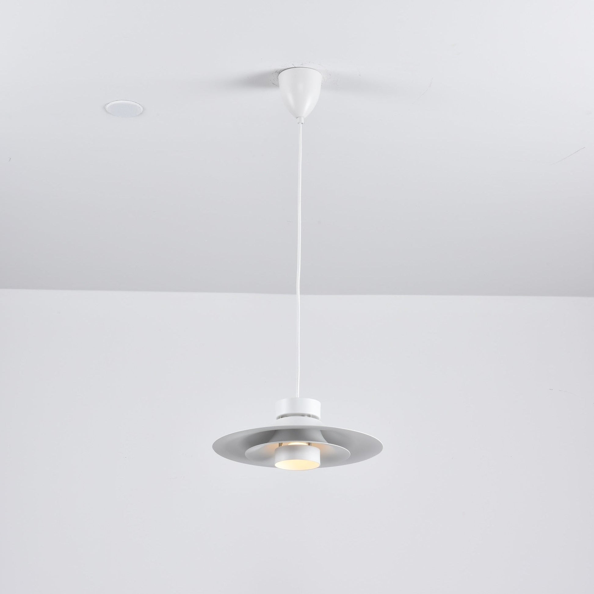 Sadie Minimalist Metal Pendant Lamp - Blowlighting