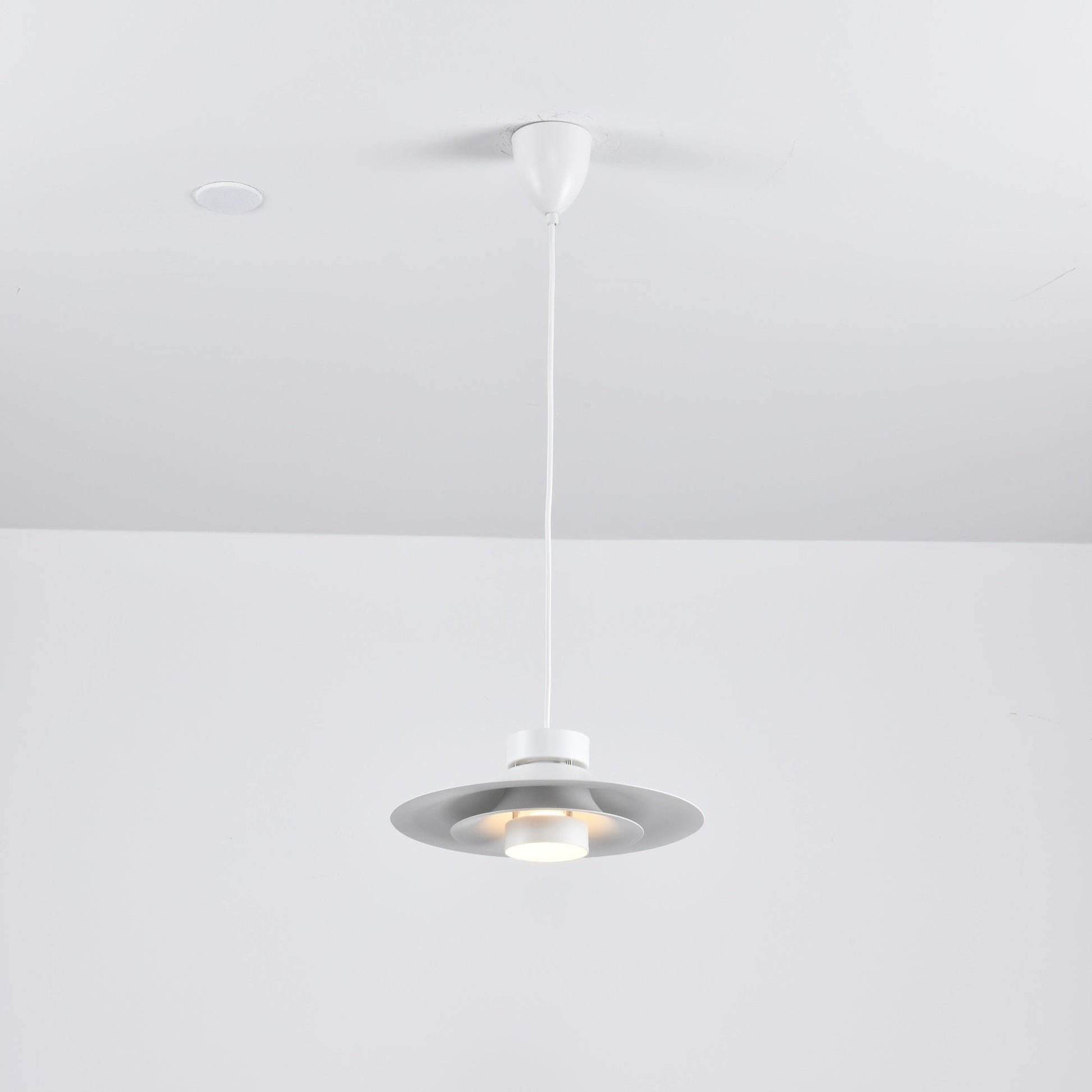 Sadie Minimalist Metal Pendant Lamp - Blowlighting