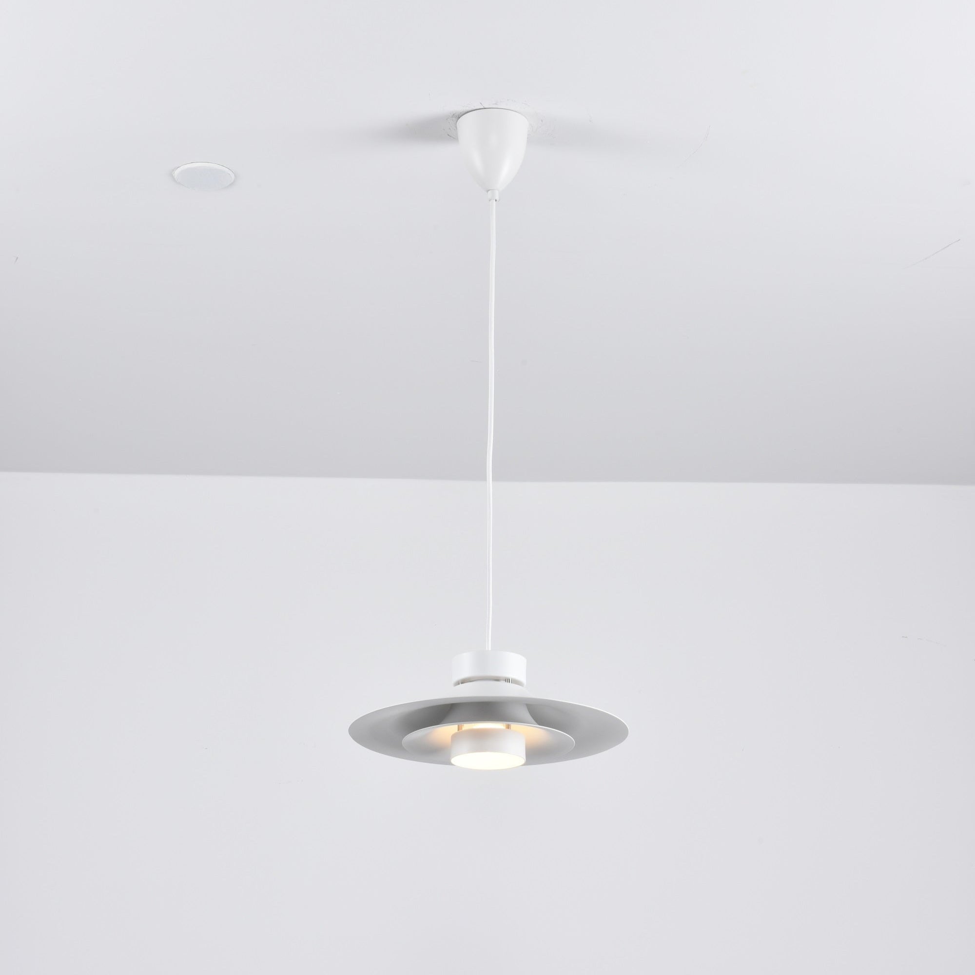 Sadie Minimalist Metal Pendant Lamp - Blowlighting
