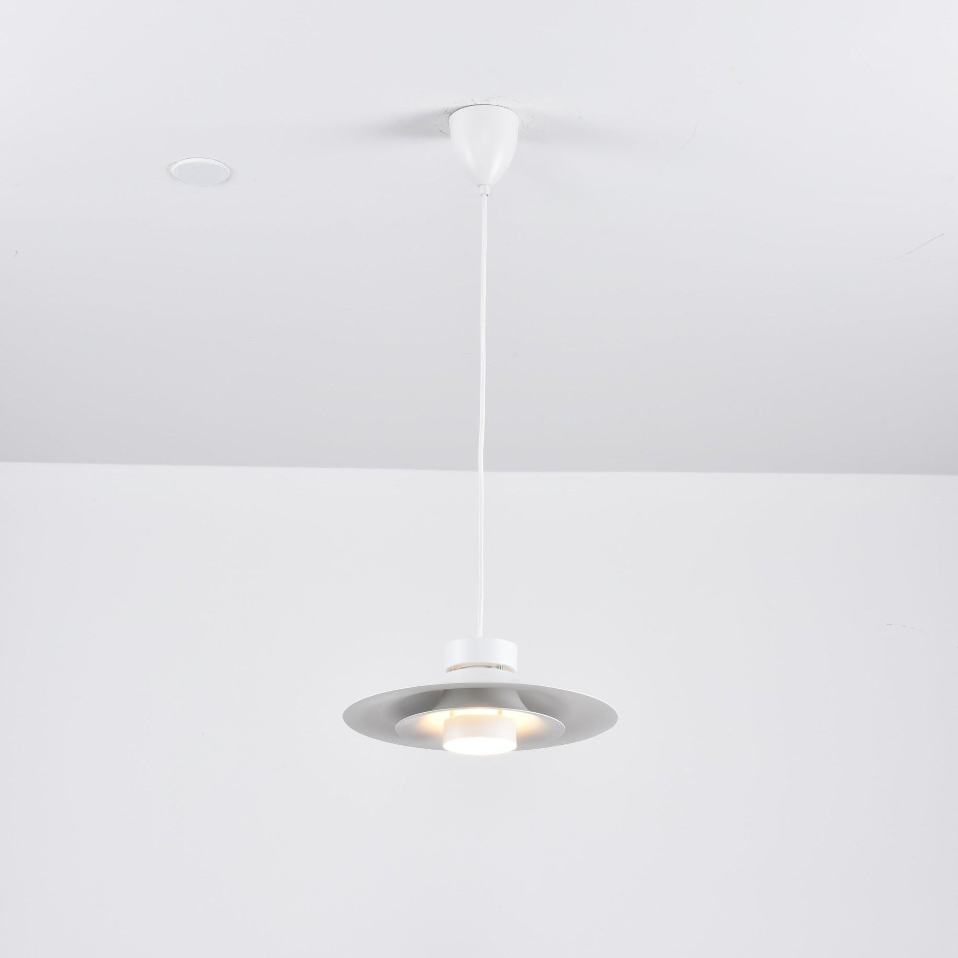 Sadie Minimalist Metal Pendant Lamp - Blowlighting