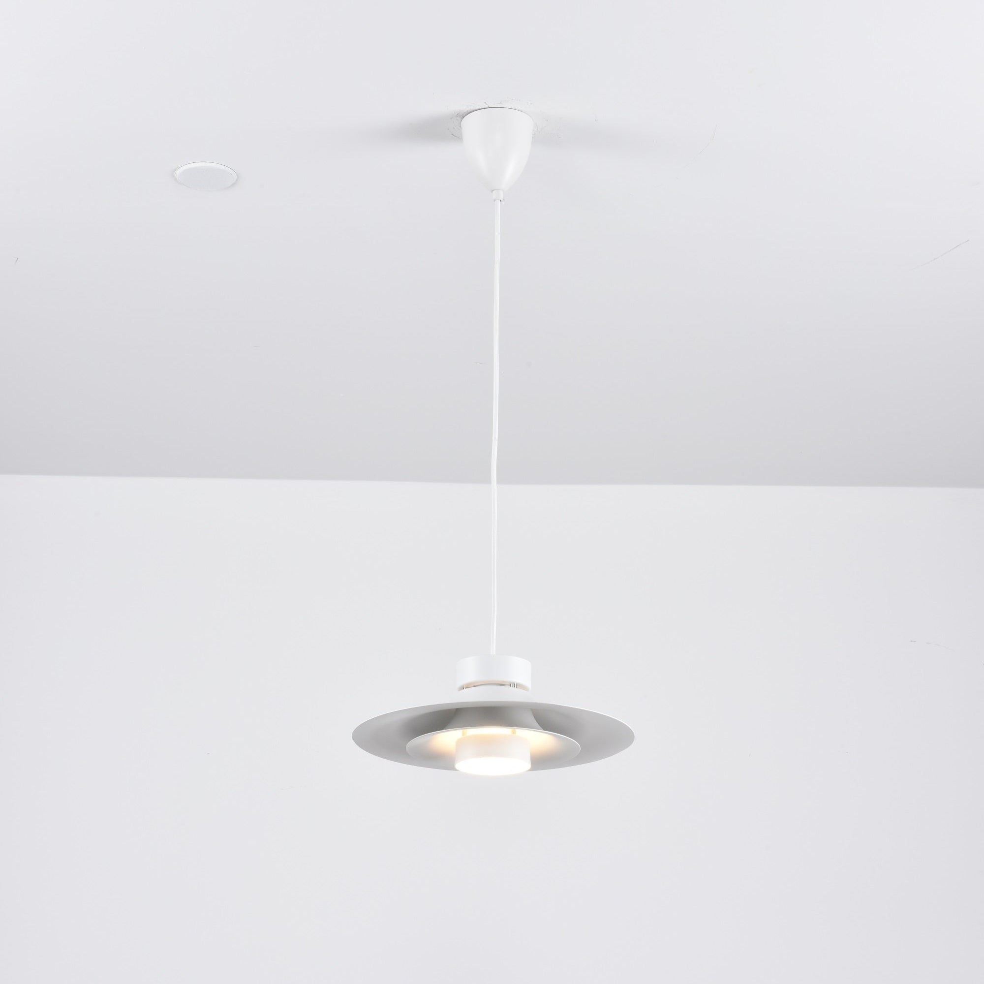 Sadie Minimalist Metal Pendant Lamp - Blowlighting
