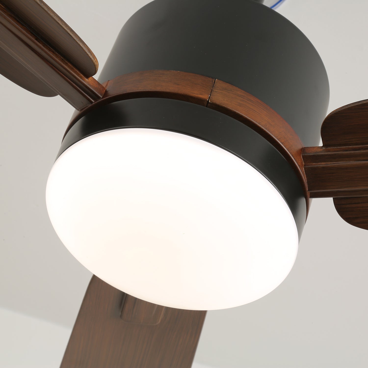 Zeyra Modern Wood Ceiling Fan Light - Blowlighting