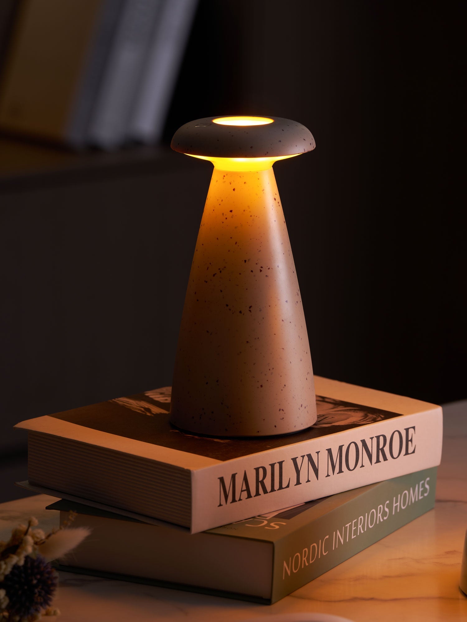 Noko Mushroom Rechargeable Table Lamp - Blowlighting