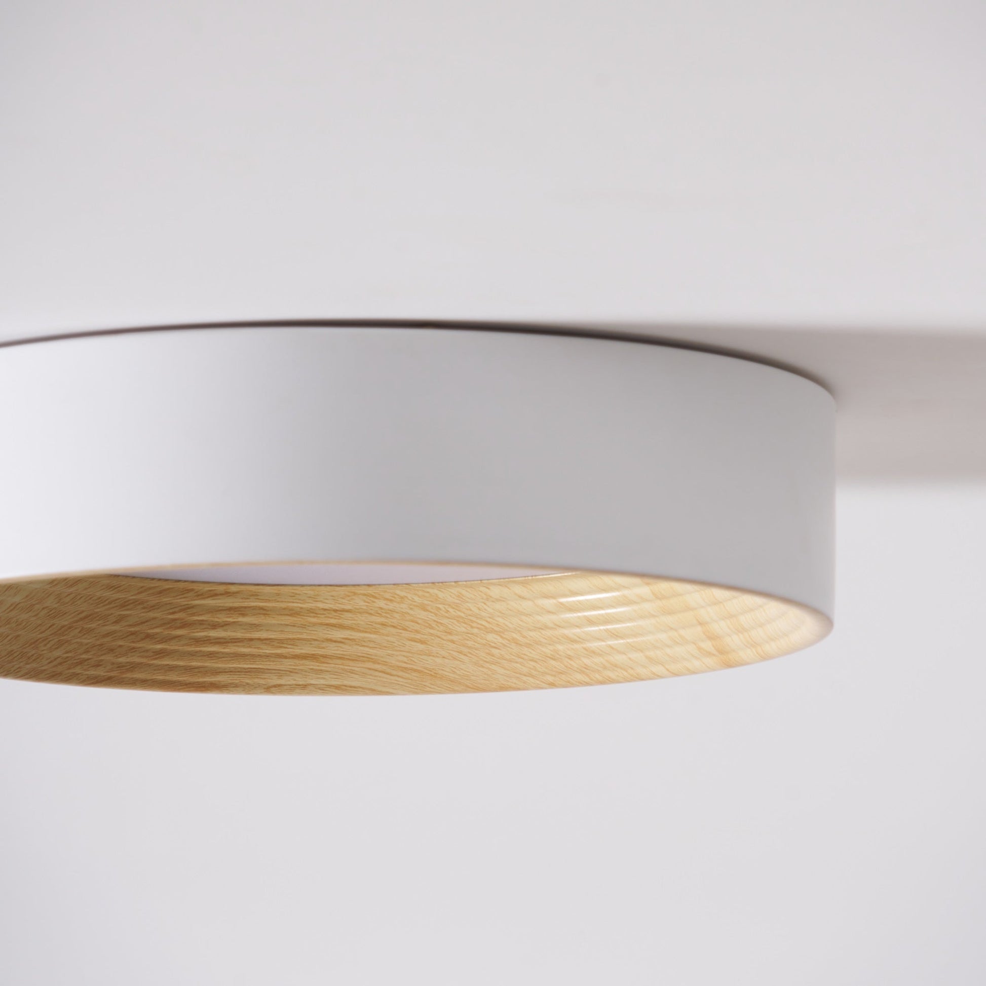 Oreen Ceiling Lamp - Blowlighting