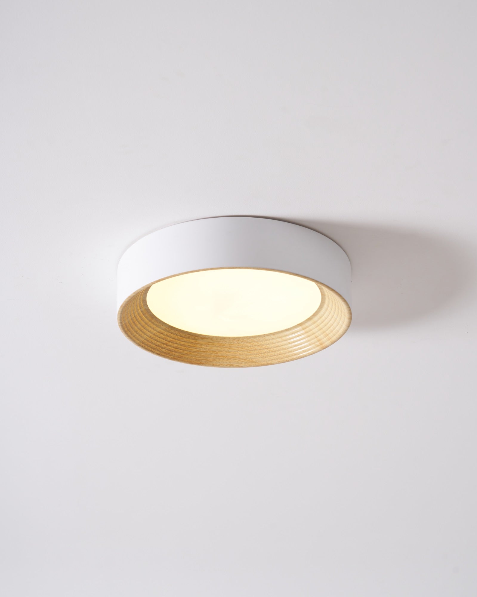 Oreen Ceiling Lamp - Blowlighting