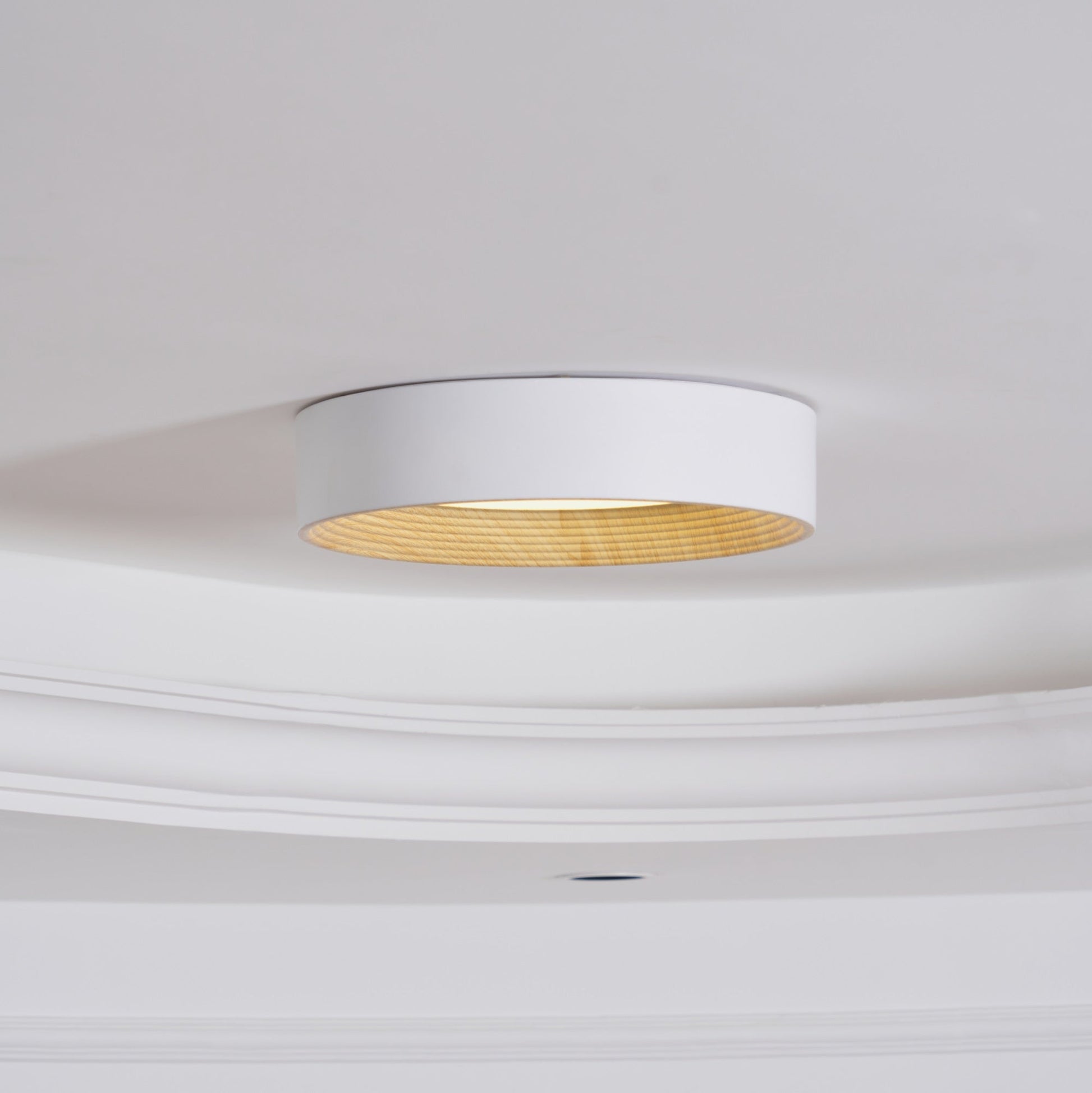Oreen Ceiling Lamp - Blowlighting