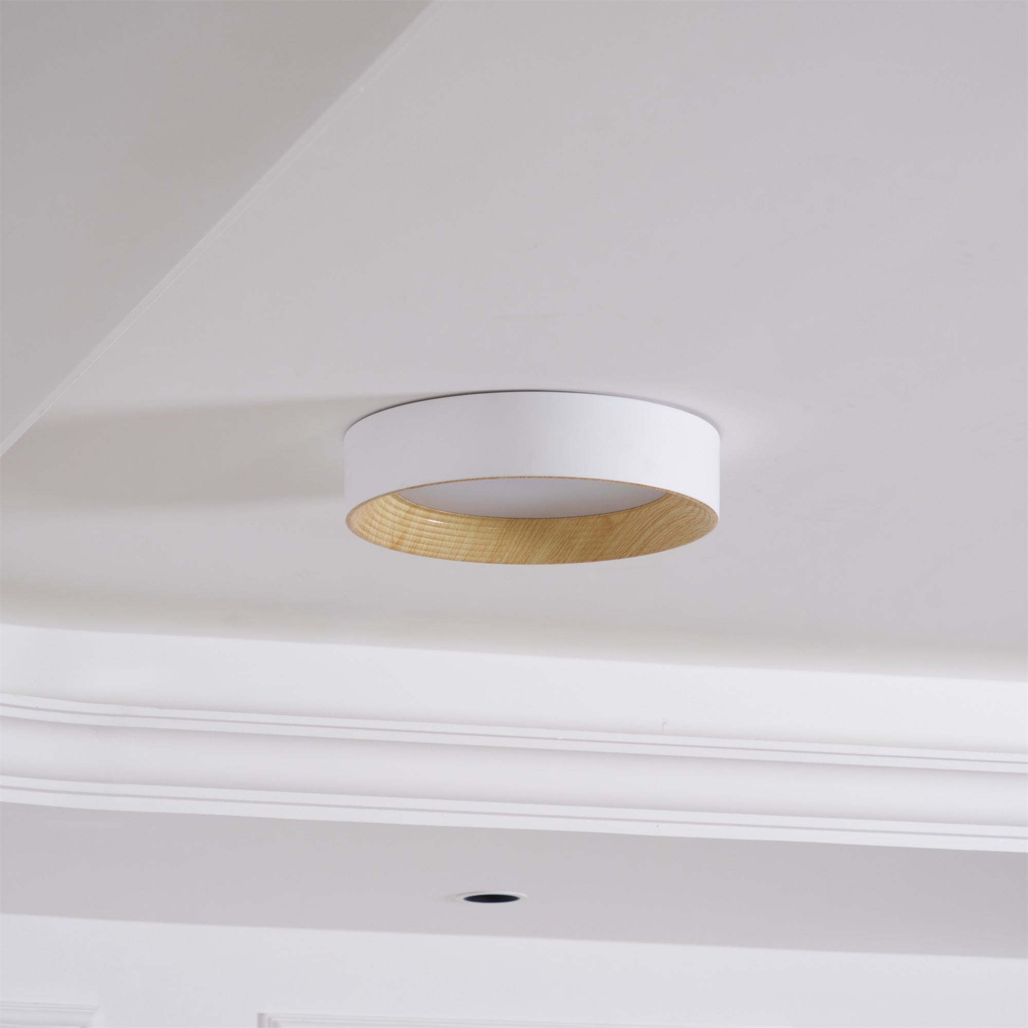 Oreen Ceiling Lamp - Blowlighting