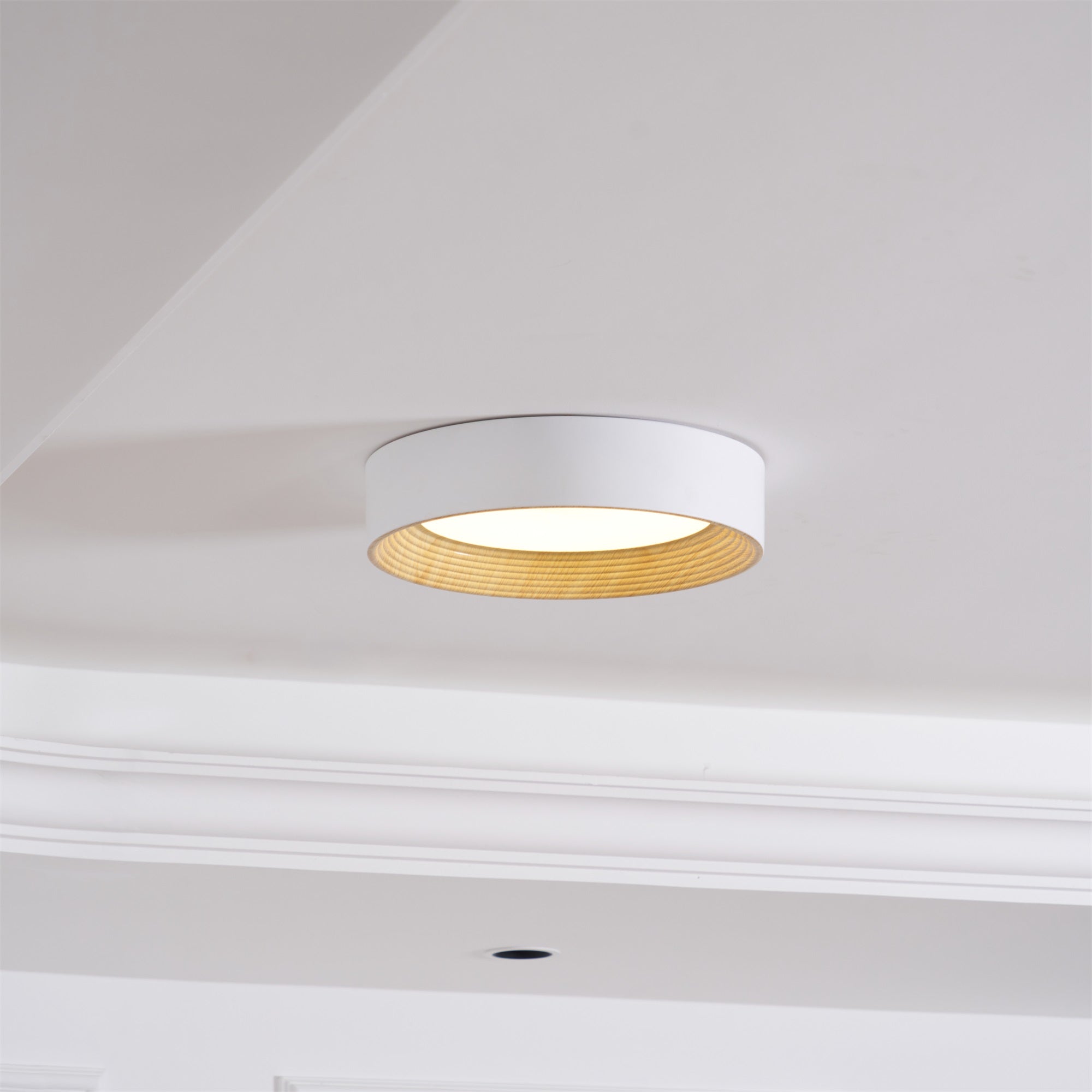 Oreen Ceiling Lamp - Blowlighting