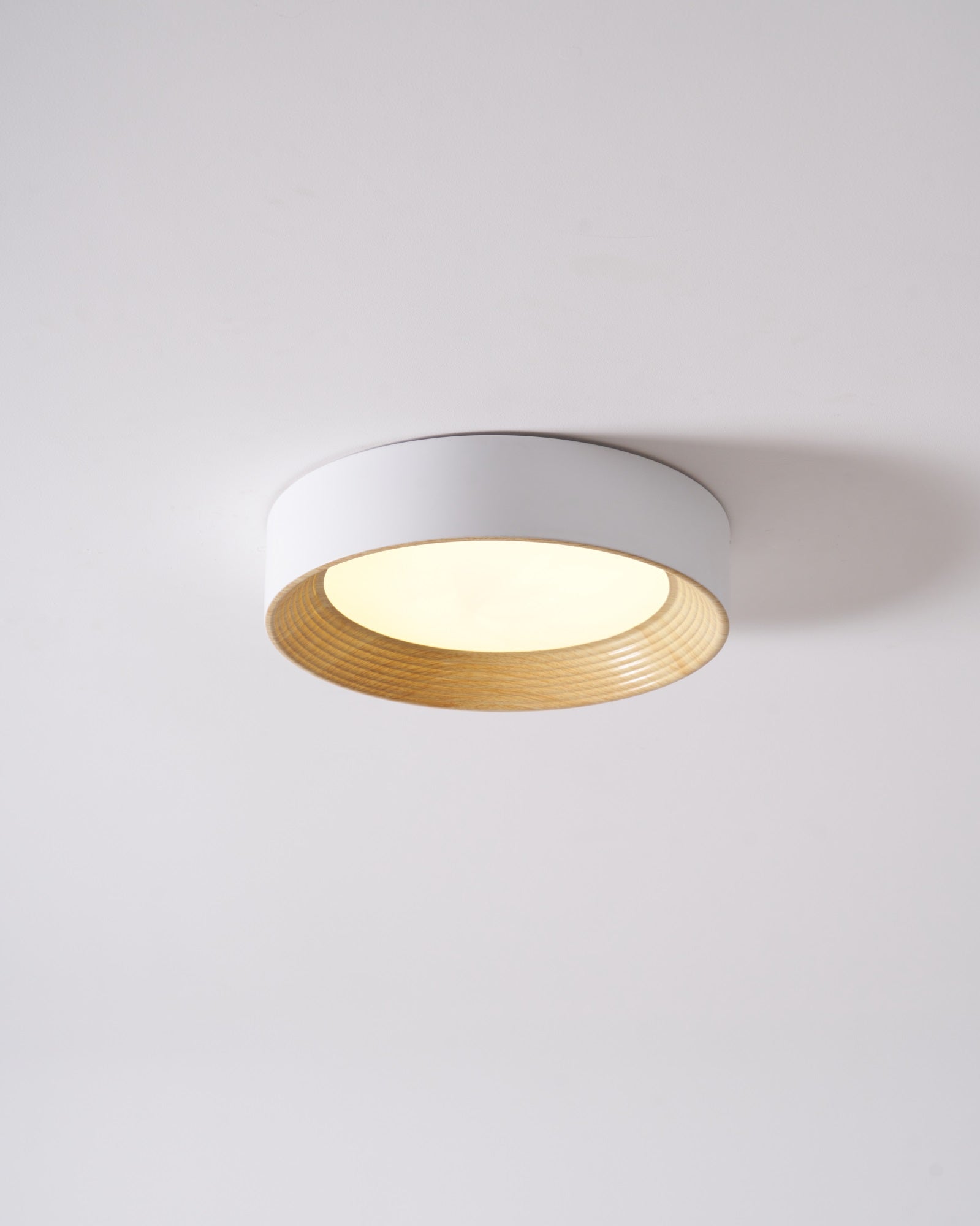 Oreen Ceiling Lamp - Blowlighting