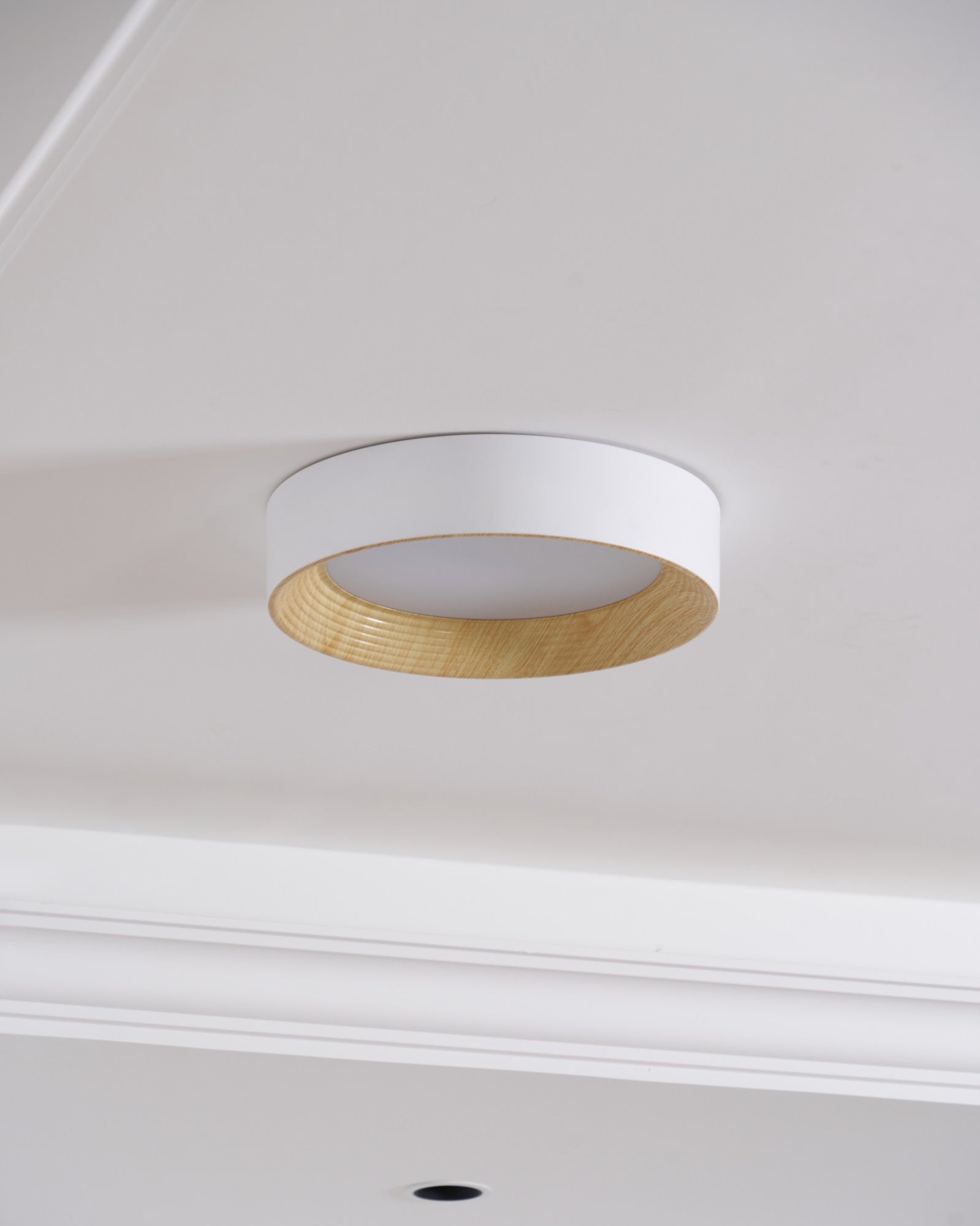Oreen Ceiling Lamp - Blowlighting