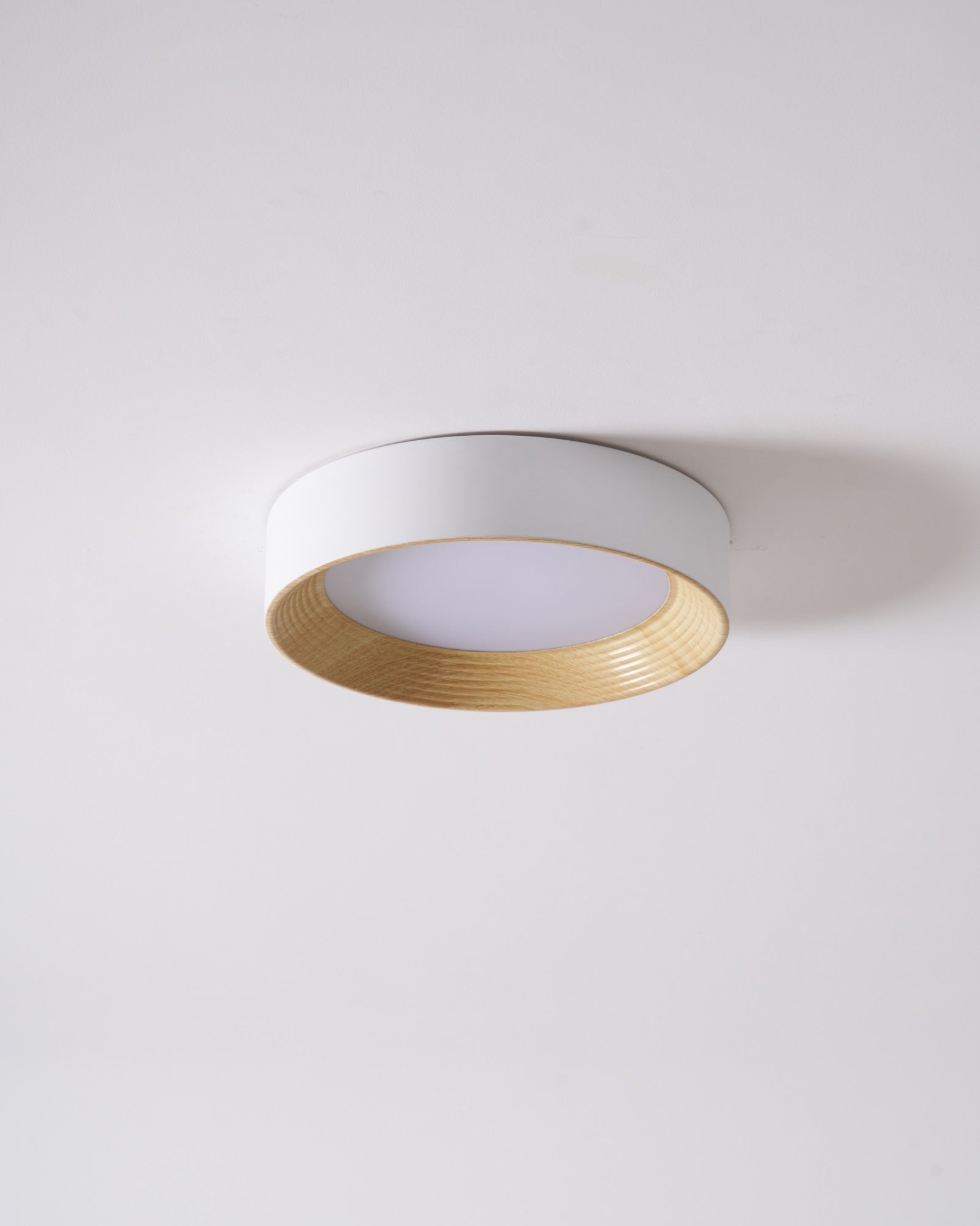 Oreen Ceiling Lamp - Blowlighting