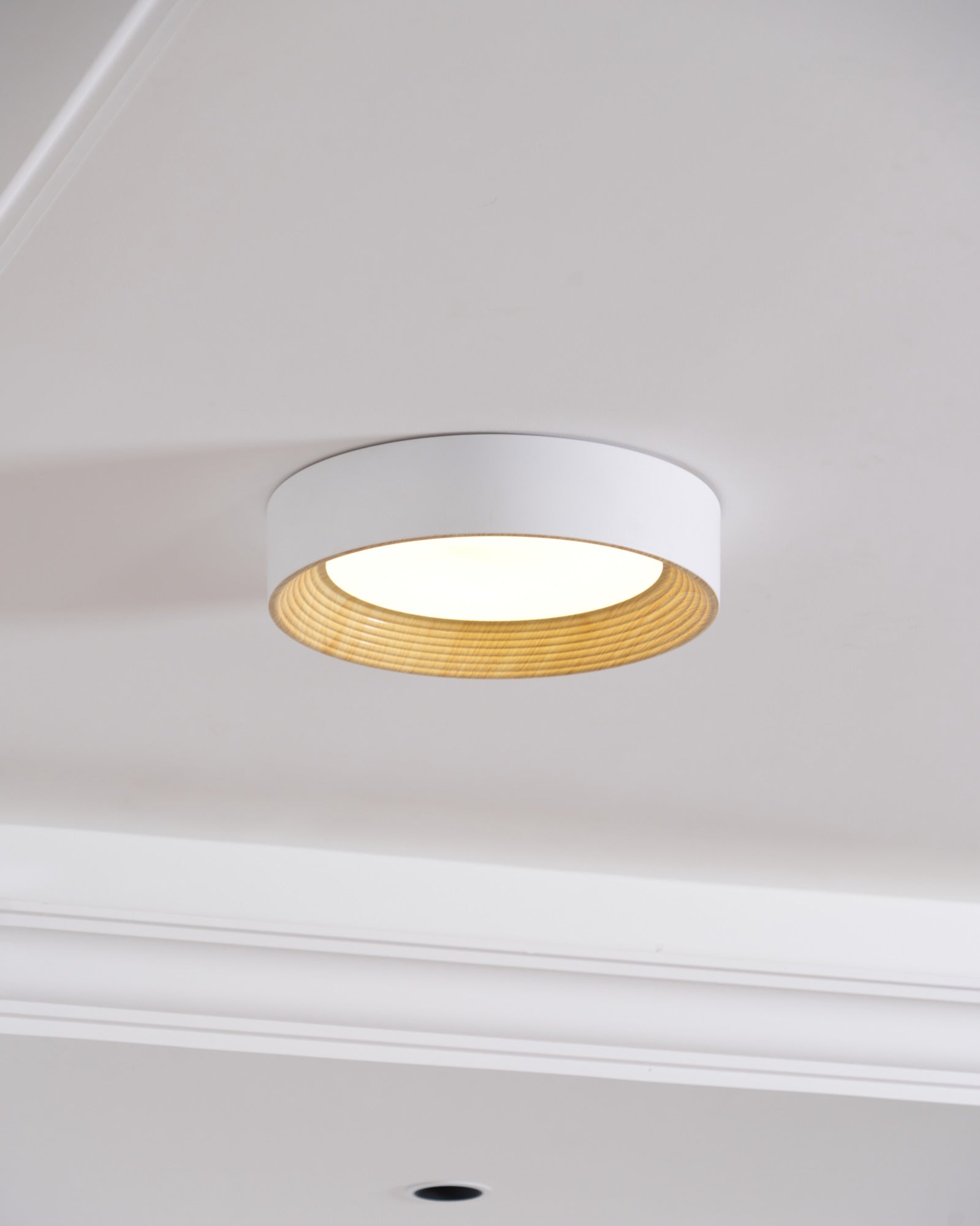 Oreen Ceiling Lamp - Blowlighting