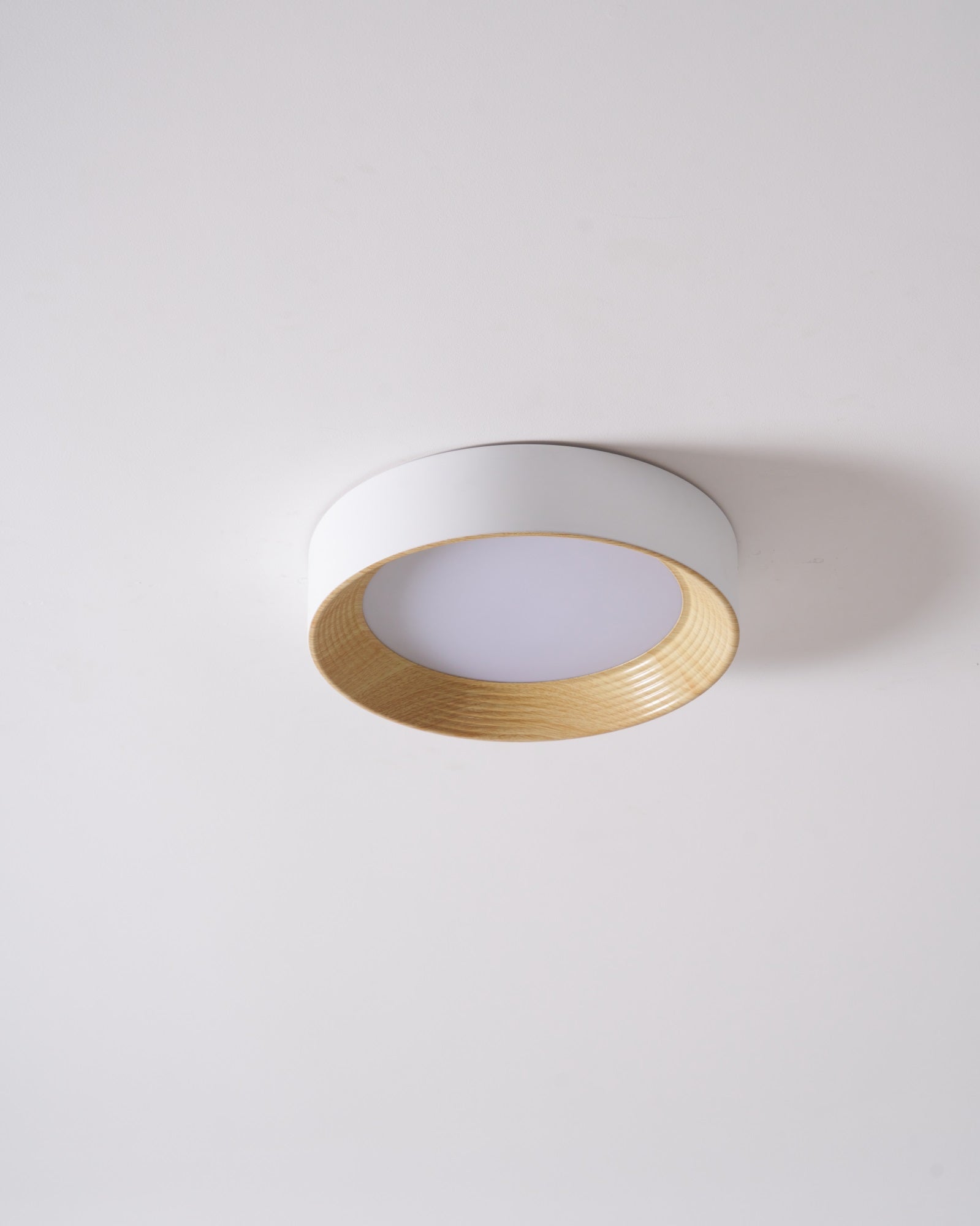 Oreen Ceiling Lamp - Blowlighting