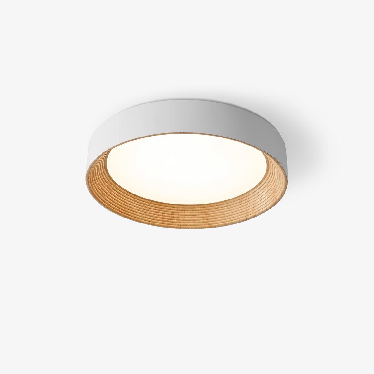 Oreen Ceiling Lamp - Blowlighting