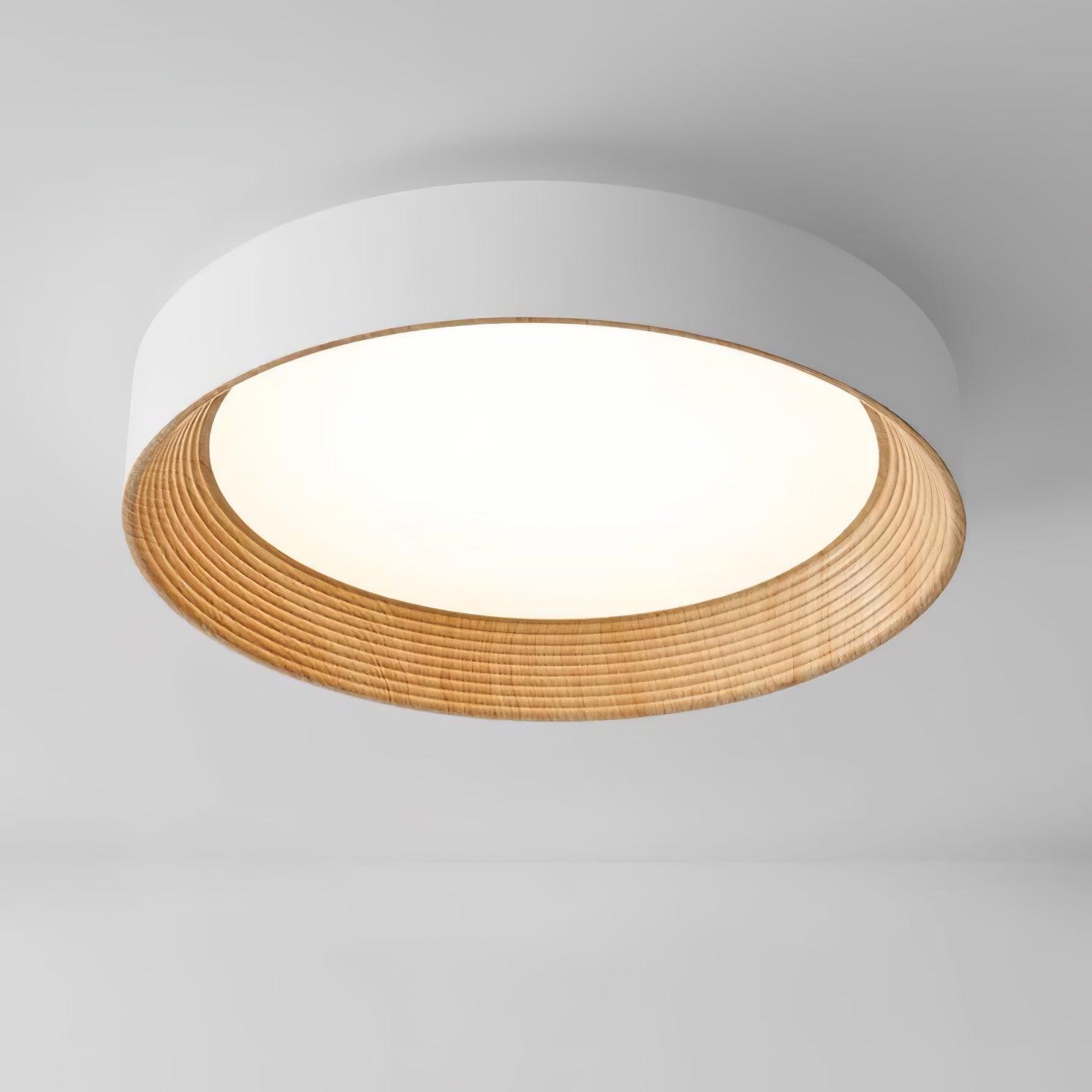 Oreen Ceiling Lamp - Blowlighting