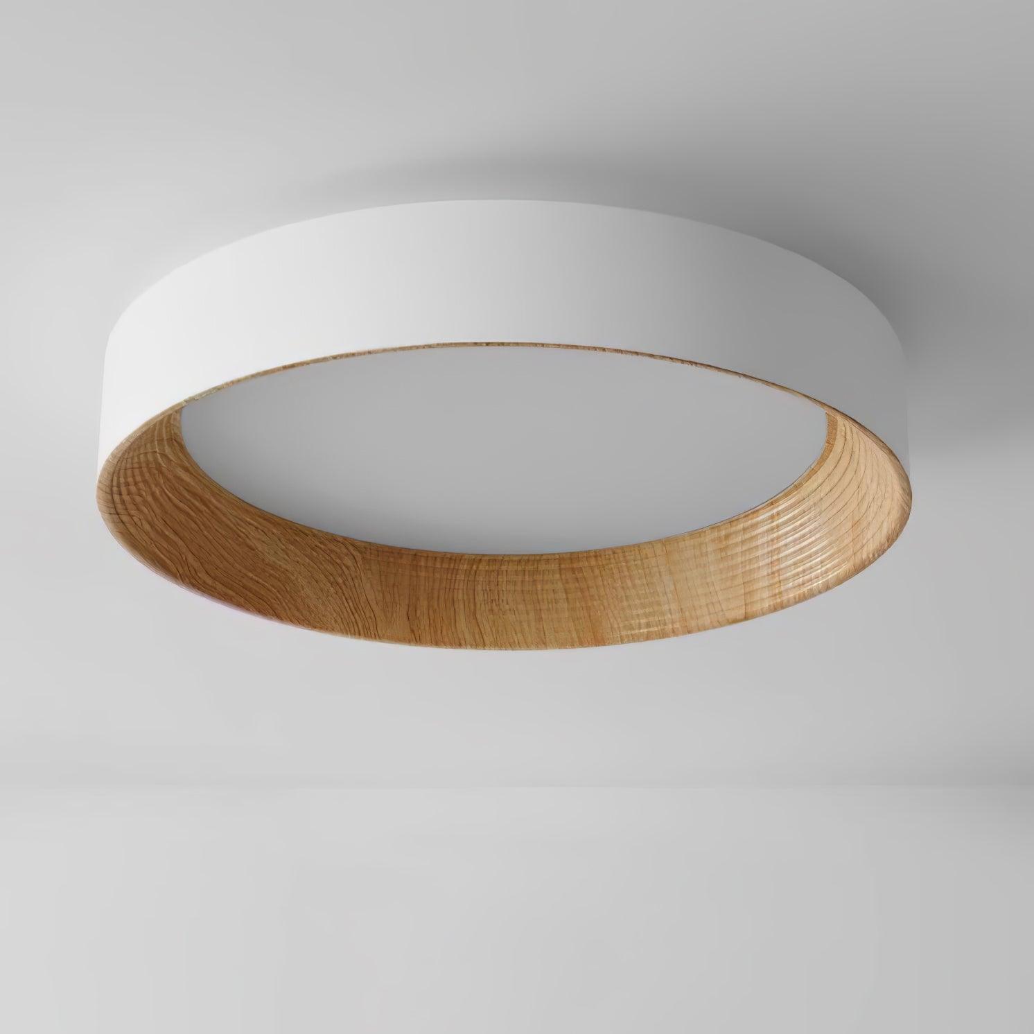 Oreen Ceiling Lamp - Blowlighting