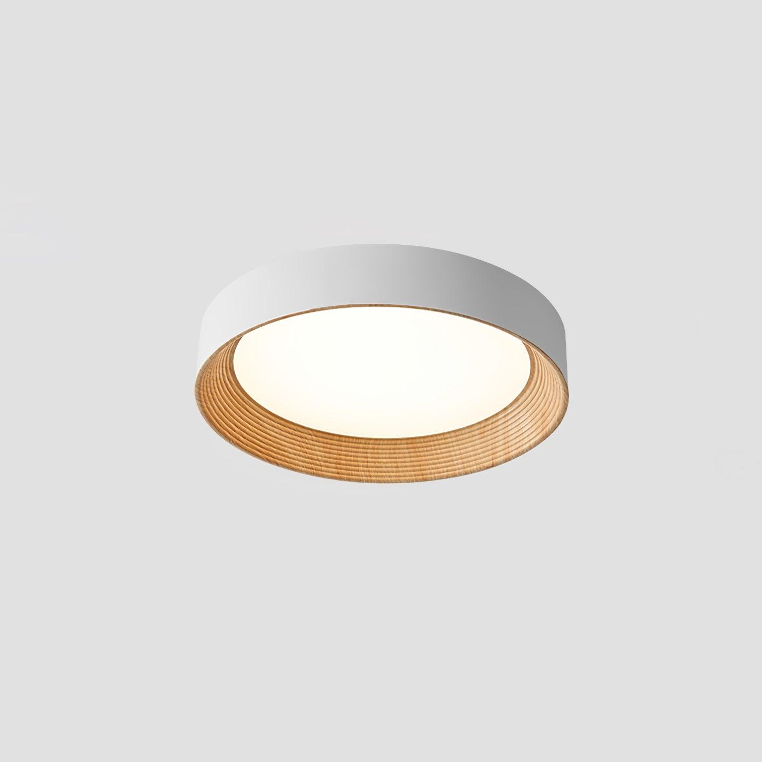 Oreen Ceiling Lamp - Blowlighting