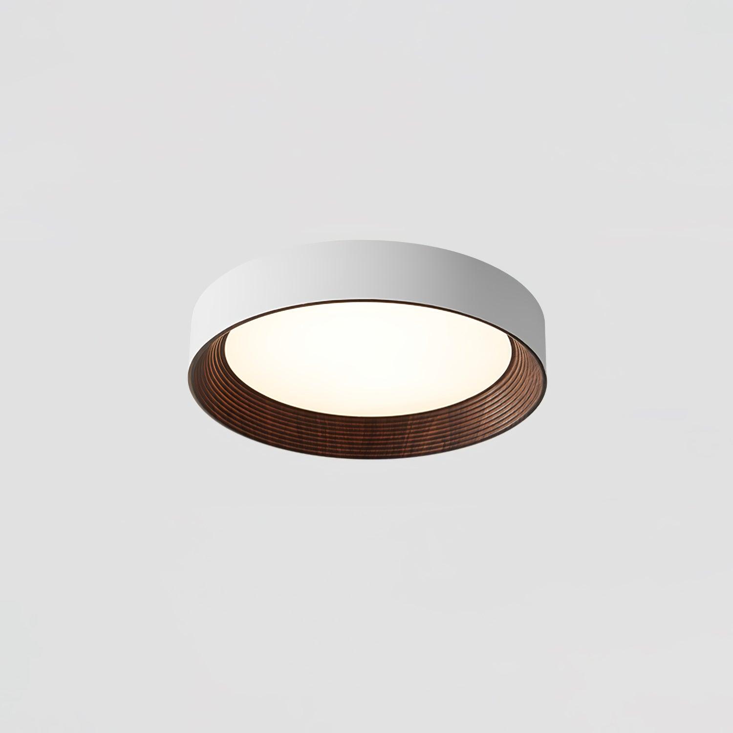 Oreen Ceiling Lamp - Blowlighting