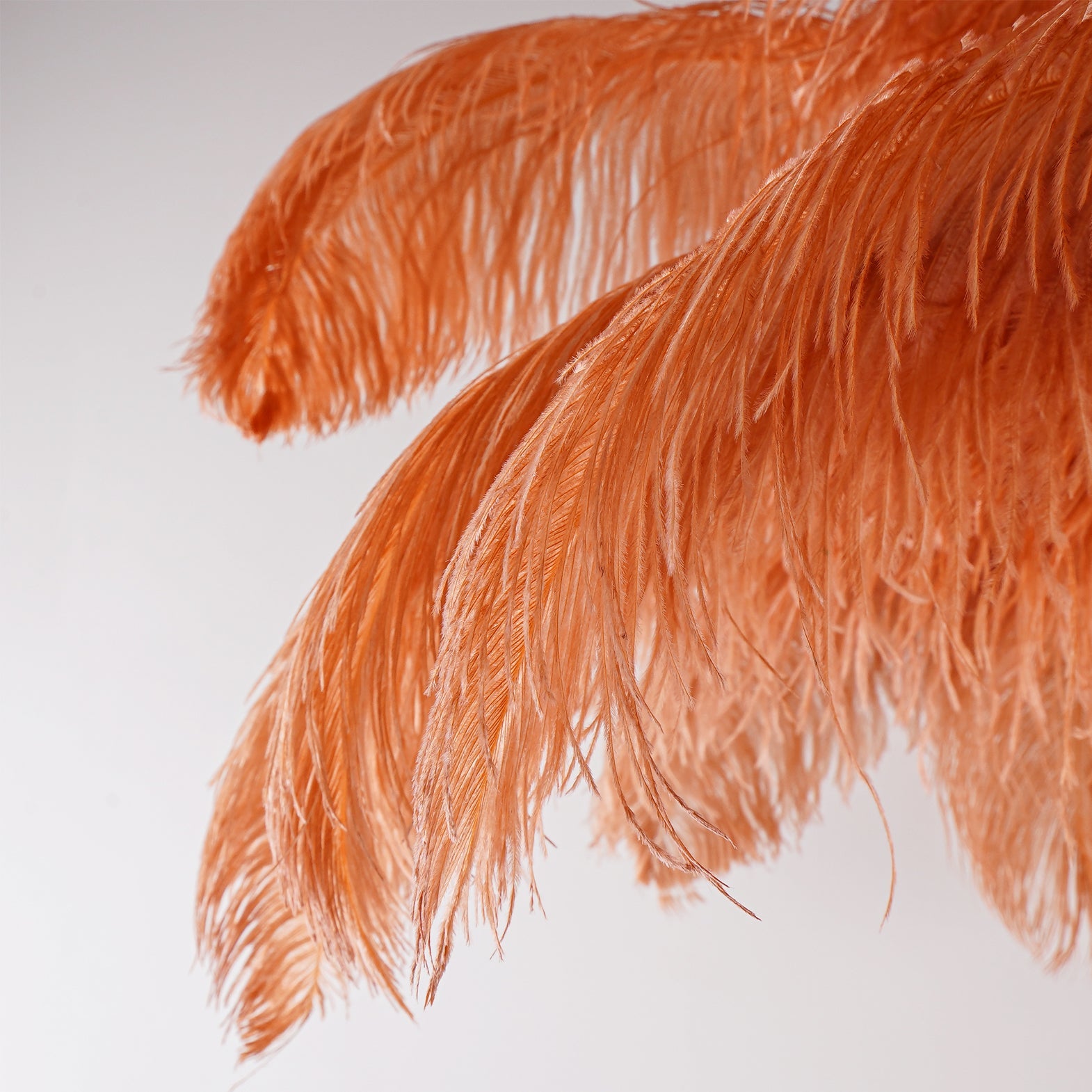 Ostrich Feather Brass Floor Lamp - Blowlighting