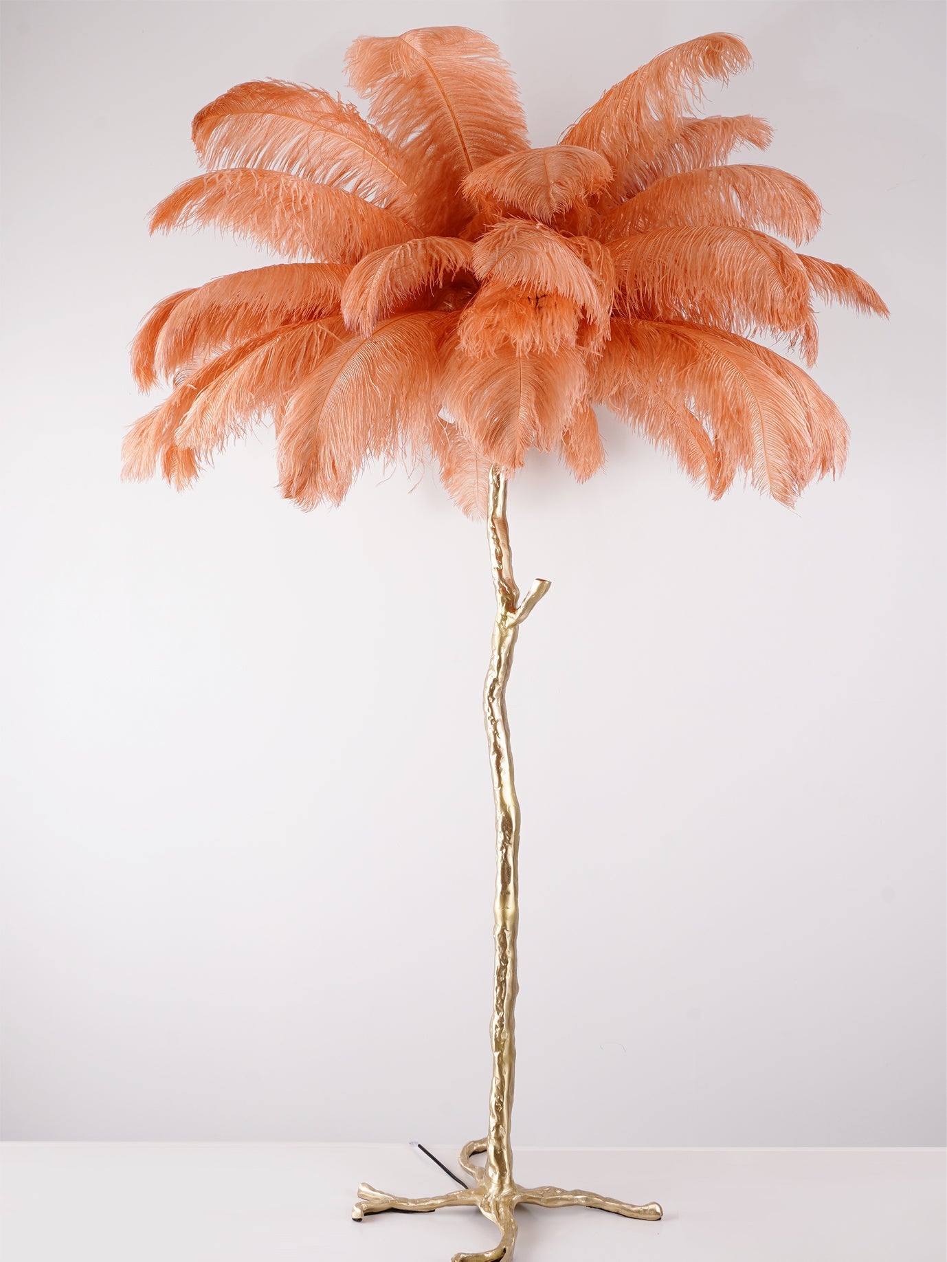 Ostrich Feather Brass Floor Lamp - Blowlighting